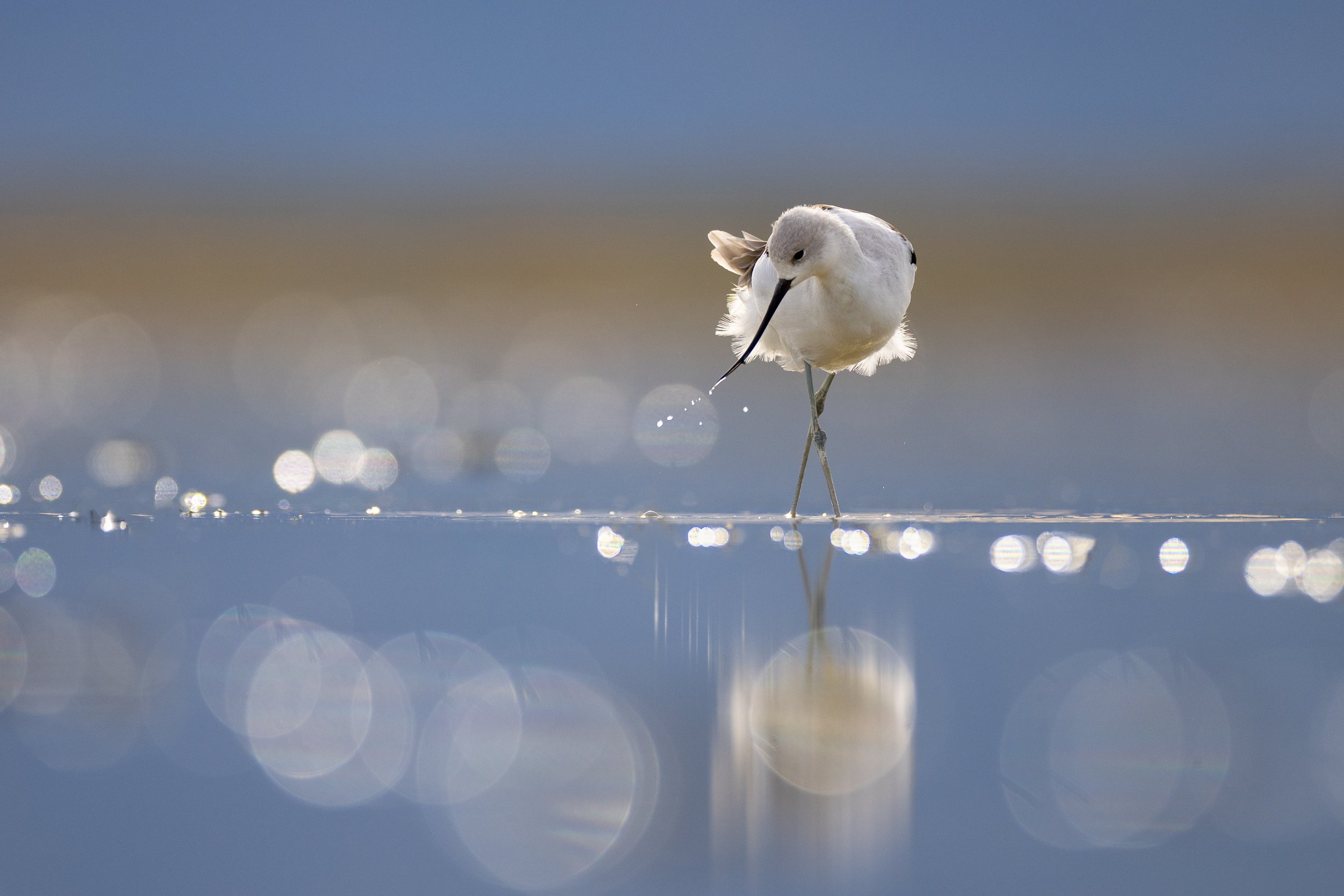 R5_GreatSaltLake_23Sept19-2511-Edit-2.jpg