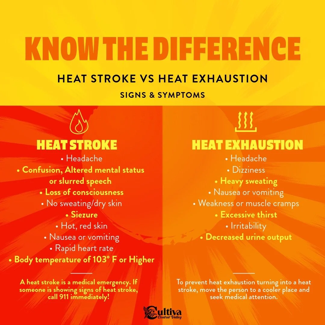 ☀️ El calor puede volverse peligroso en poco tiempo: conoce los síntomas
A medida que suben las temperaturas, también aumenta el riesgo de sufrir agotamiento por calor y golpe de calor.
⚠️ Síntomas del agotamiento por calor:�• Sudoración intensa�• Mareos o debilidad�• Dolor de cabeza�• Náuseas�• Frío