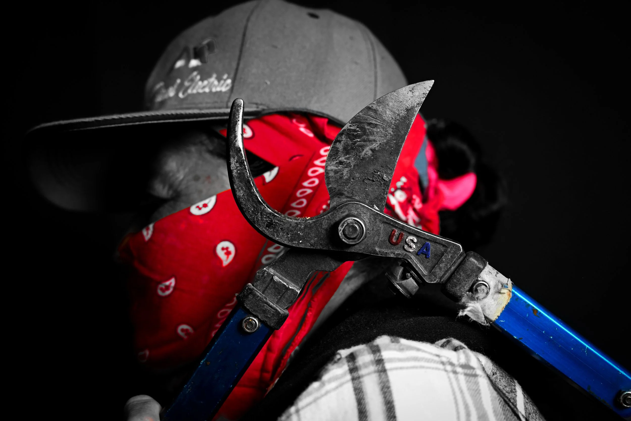 Bandana w-USA color.jpg
