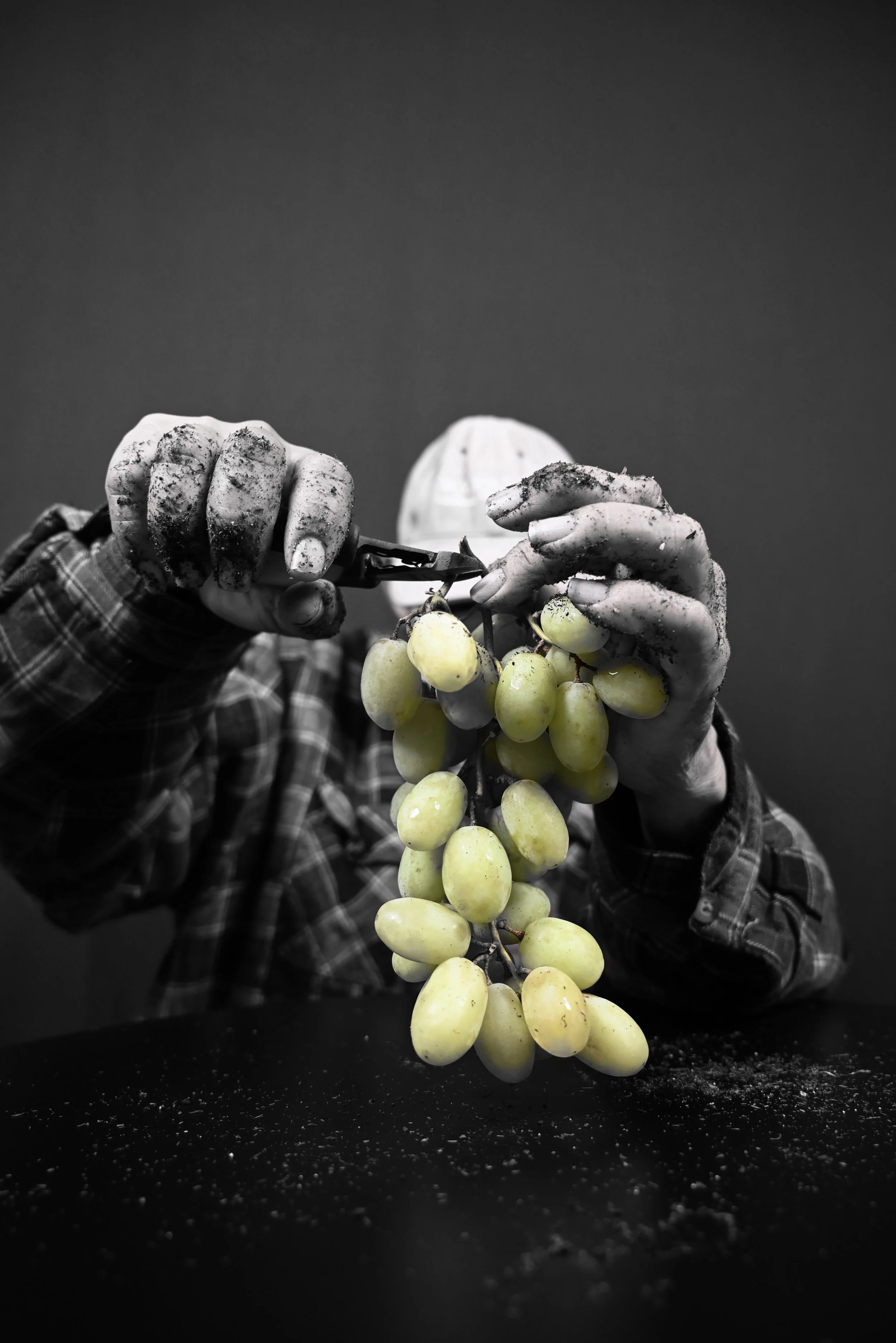 Grapes.jpg