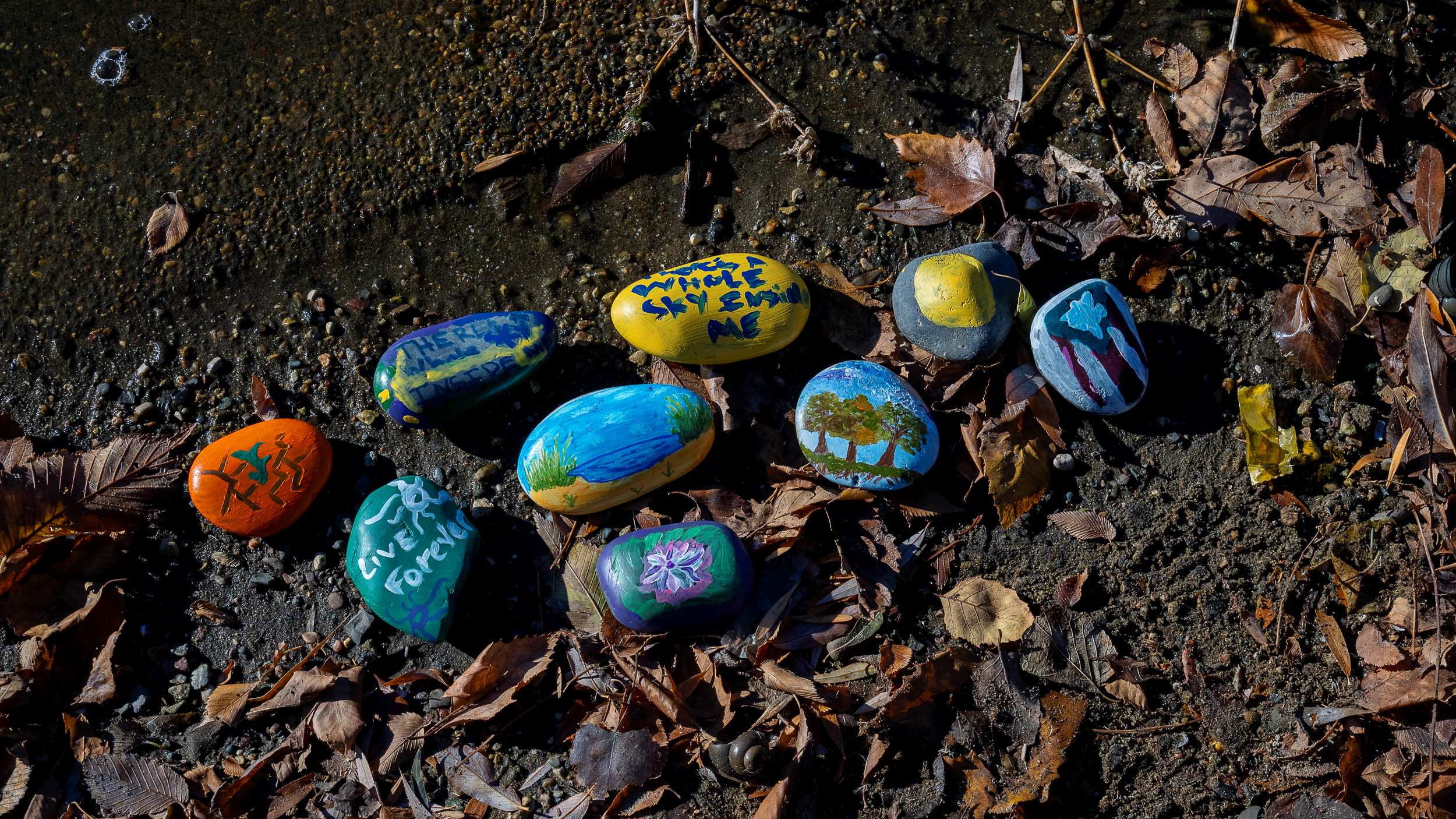 Weathering Together with Dralandra Larkins