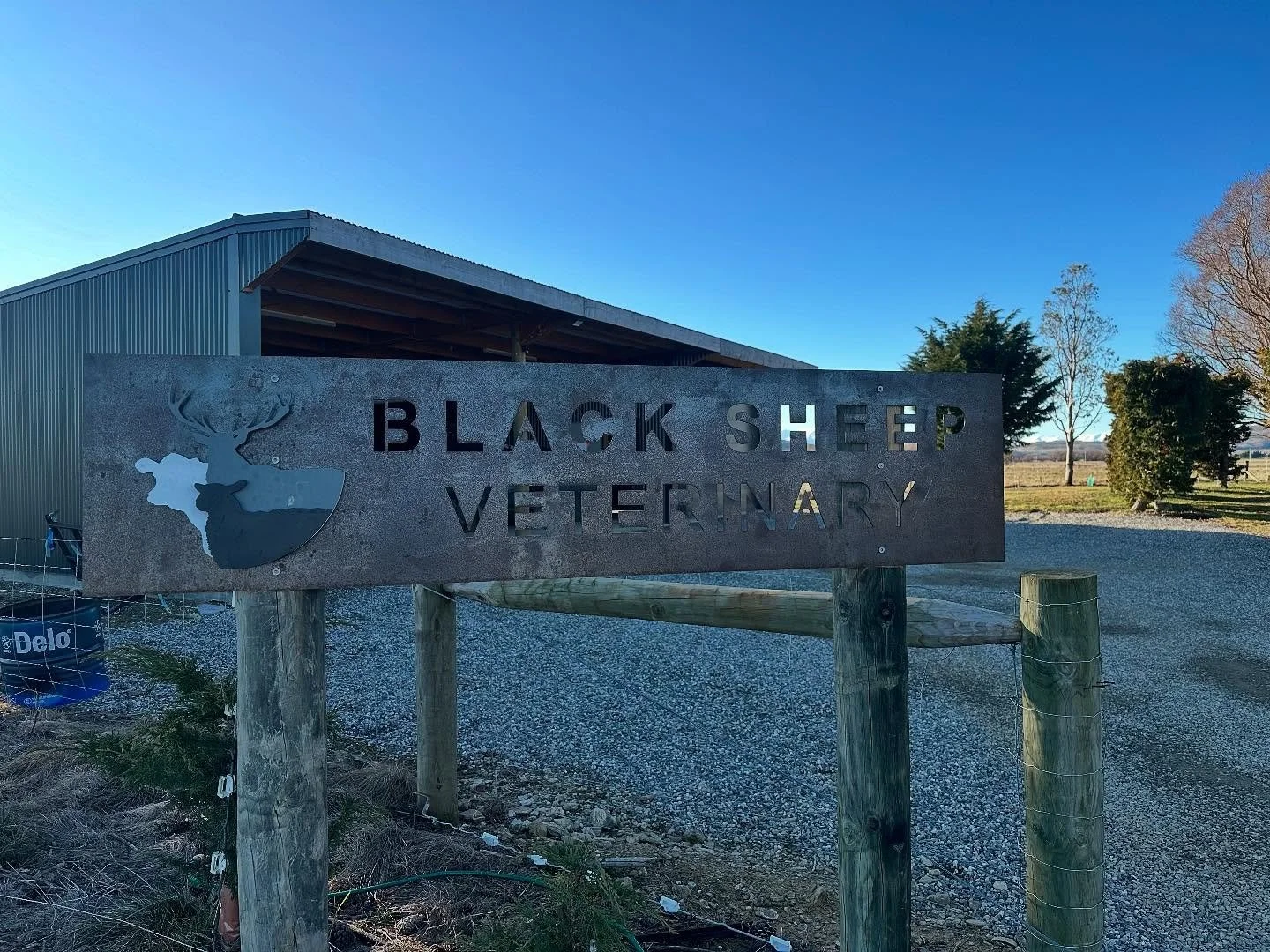Black Sheep Veterinary Sign.jpg