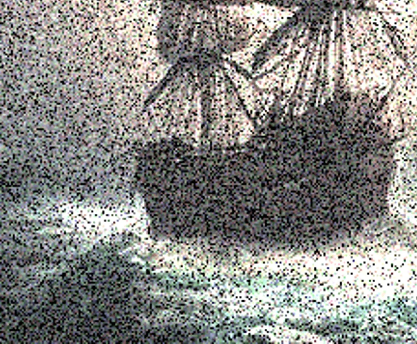 Multicolor Ship3-3.jpg