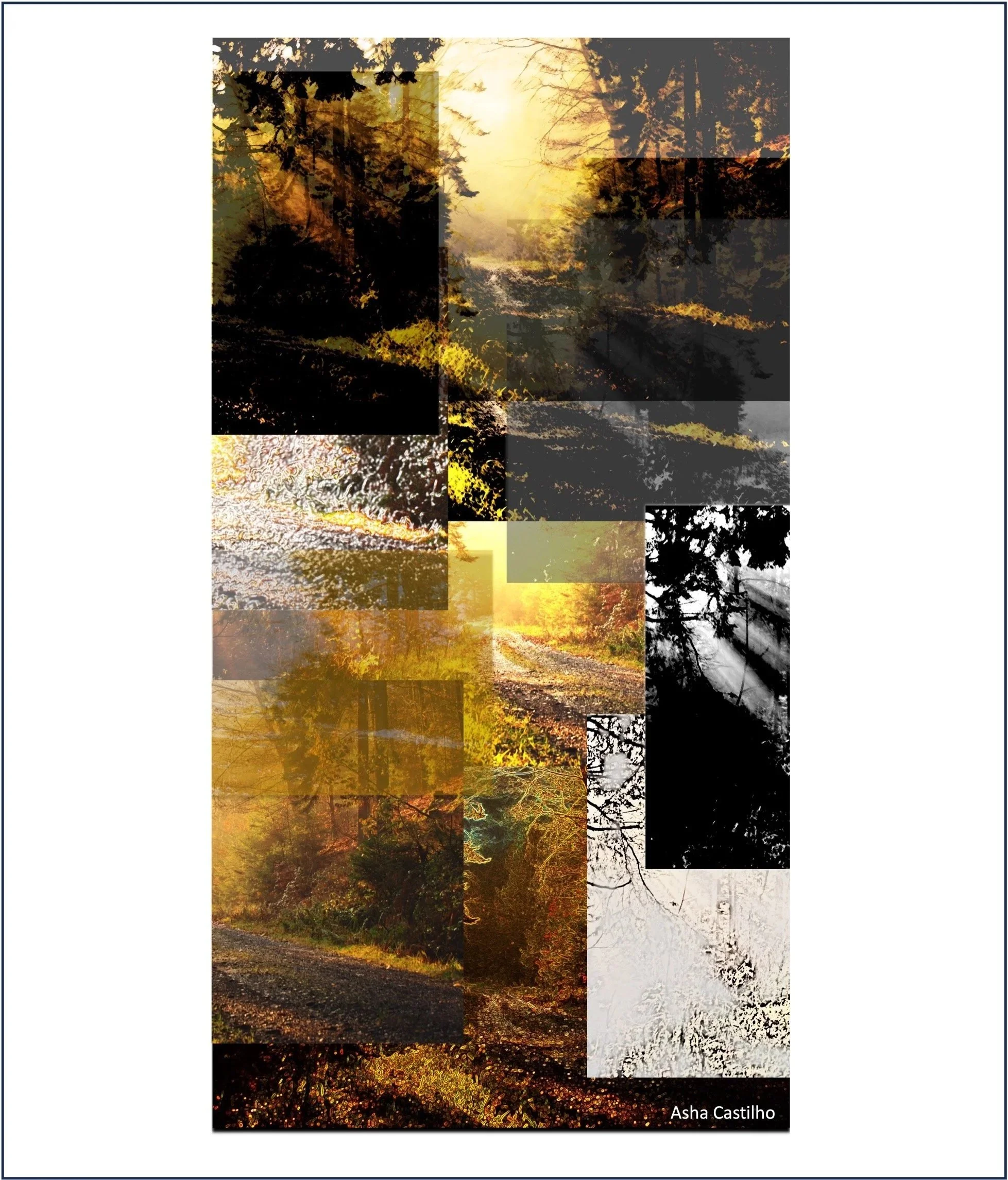 Sunset6.jpg