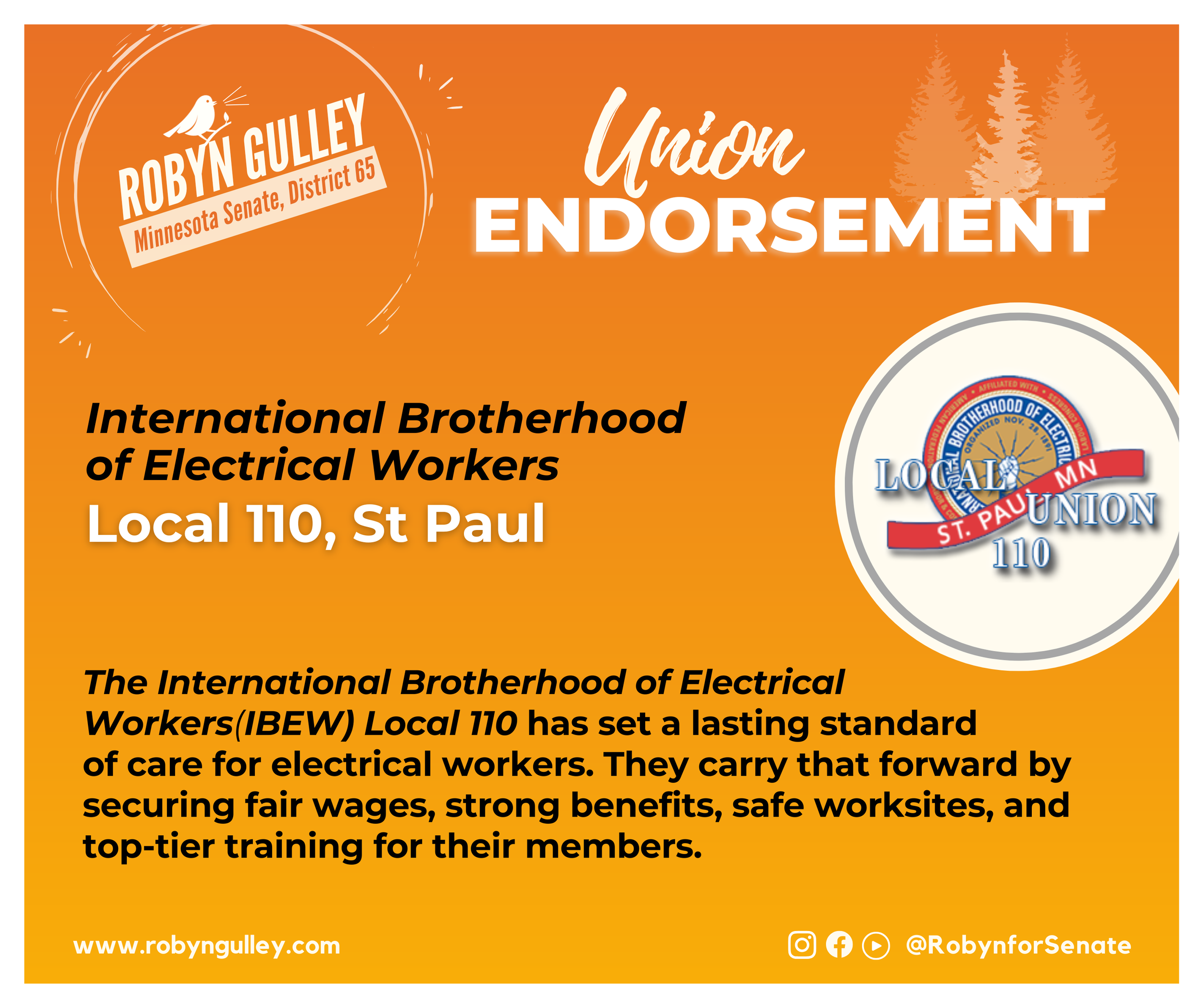 Robyn for Senate Endorsement Posts (Facebook Post) (2).png