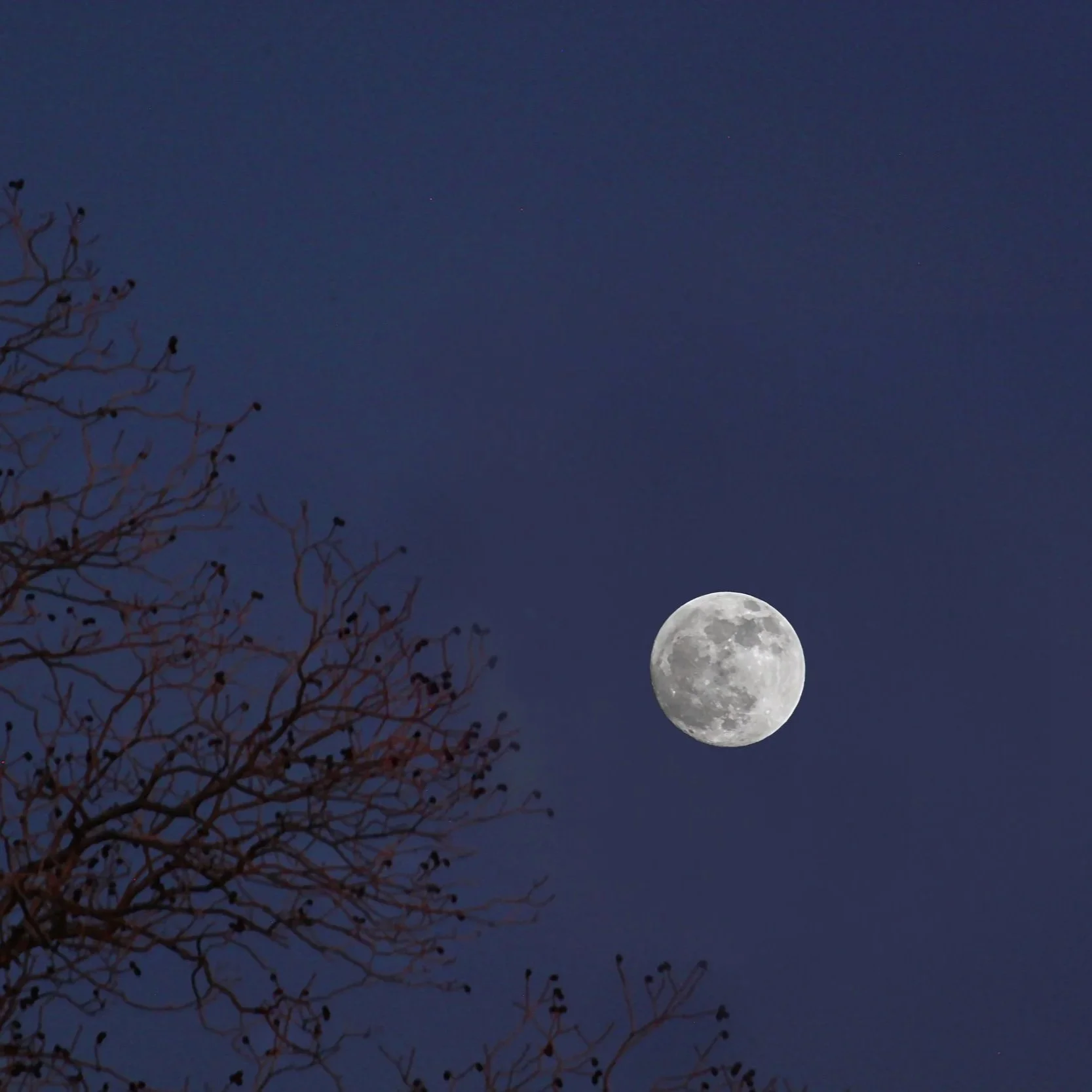 dec2019_fullmoon.jpg