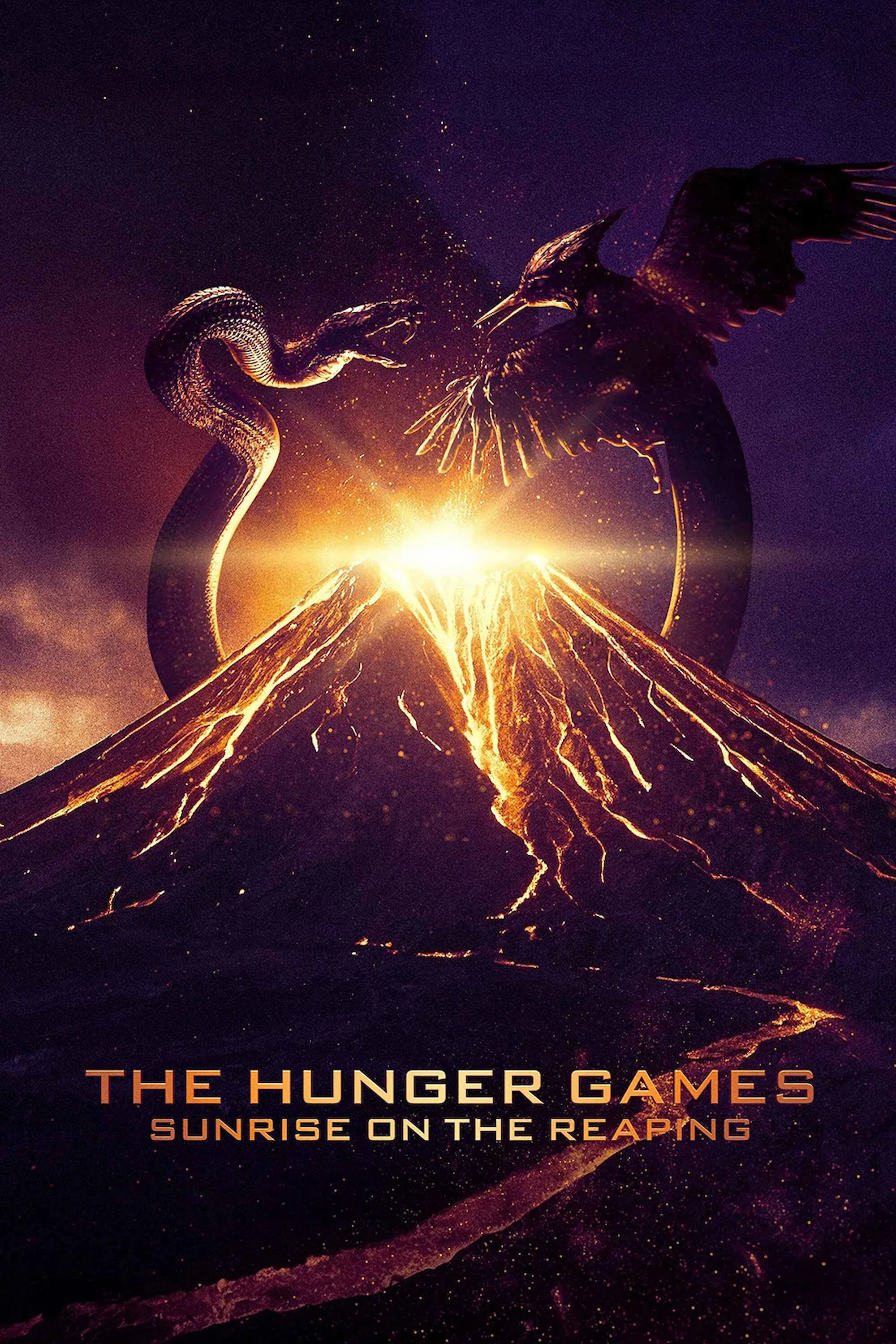 hunger games.jpg