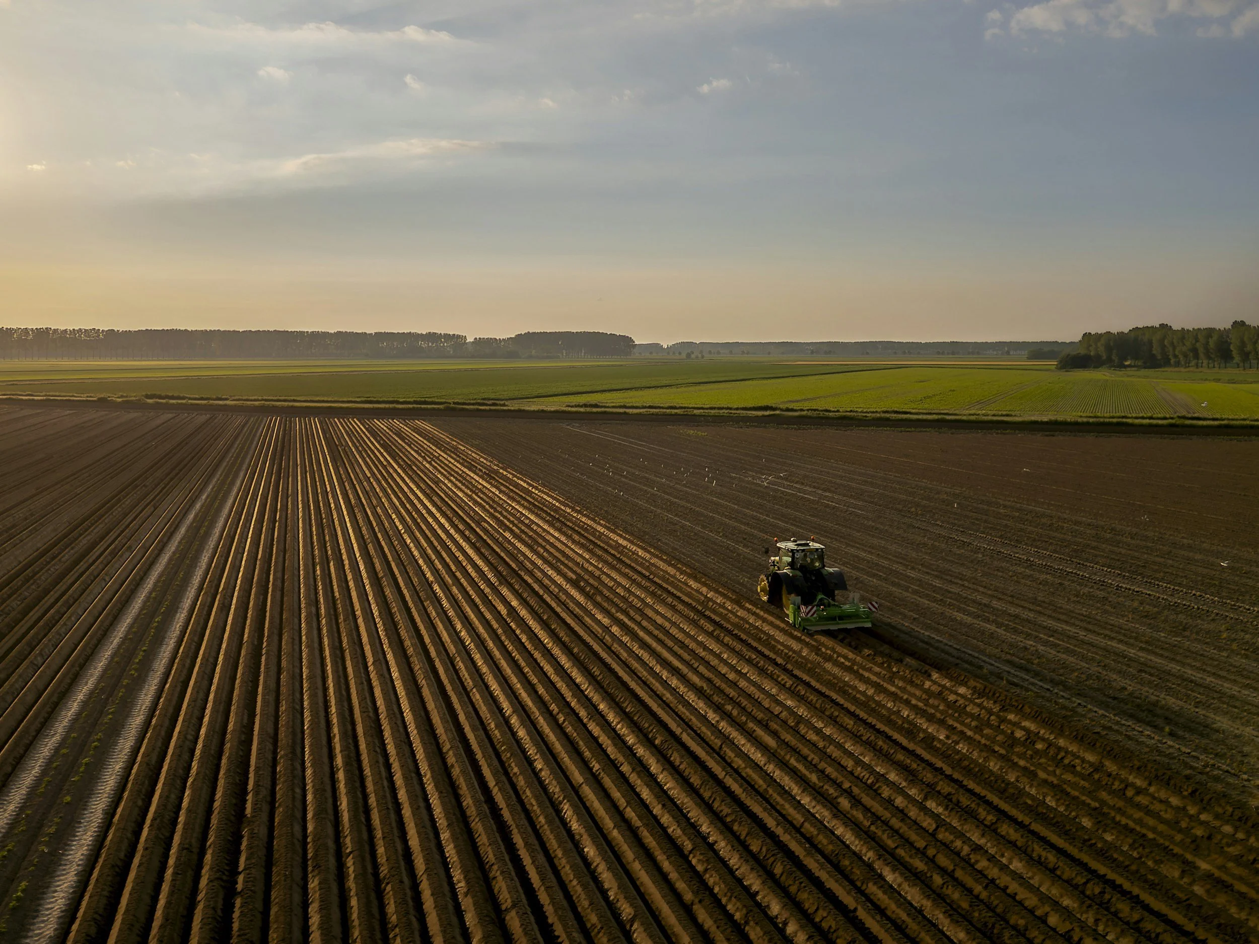 A tractor working on a large farm field during sunset, planting or cultivating crops.