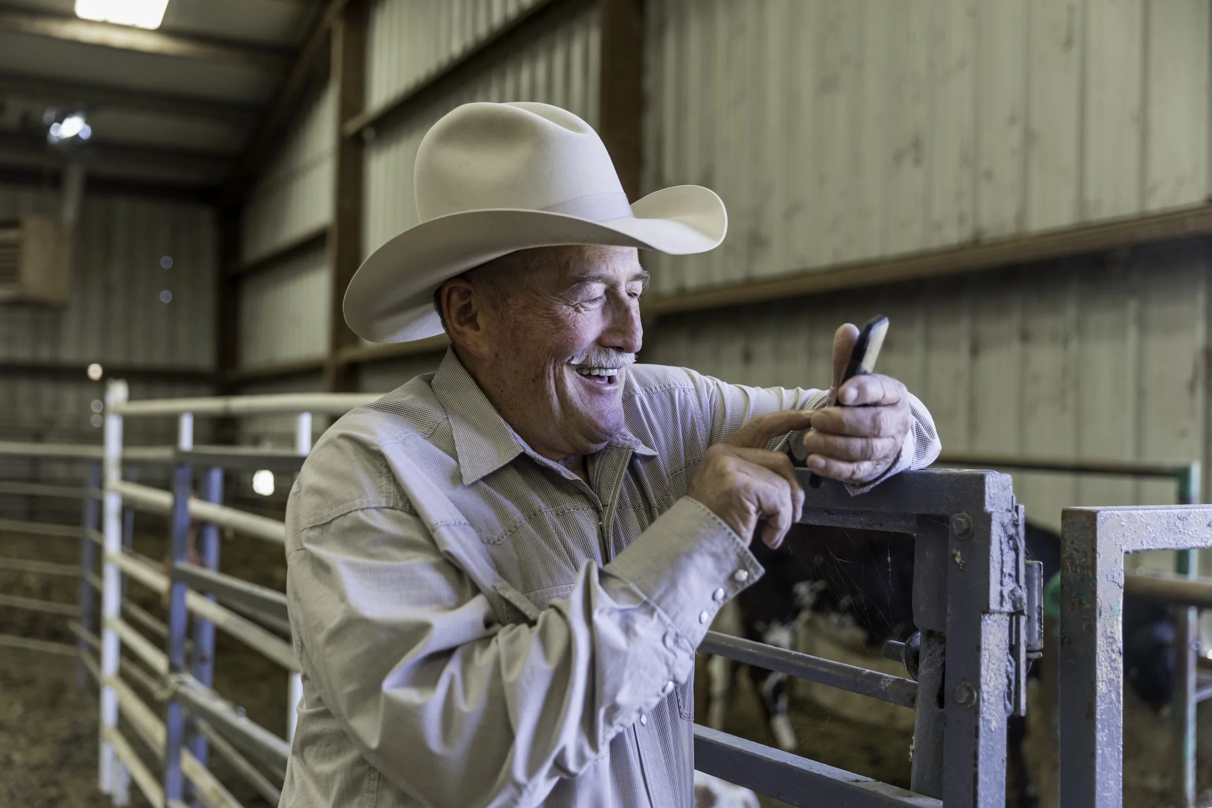 An elderly man wearing a cowboy hat and a light-colored shirt smiling and looking at his phone while standing in a barn near a metal railing with cows in the background.