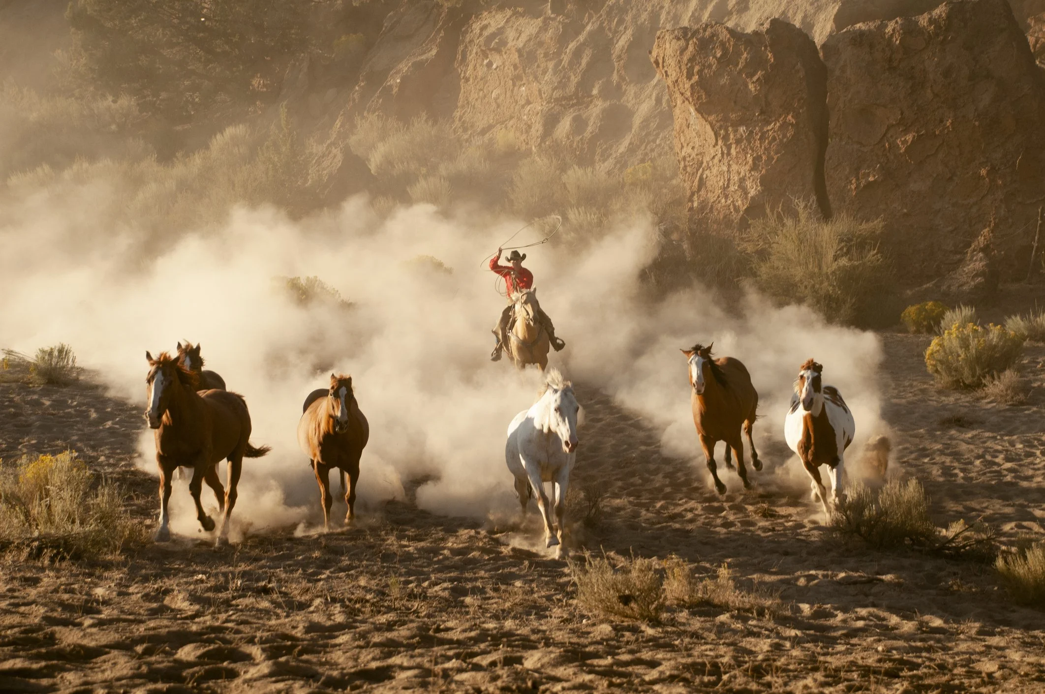 Cowboy in red shirt riding a horse, herding six horses across a dusty desert landscape with rocky cliffs in background, dust clouds rising behind them.