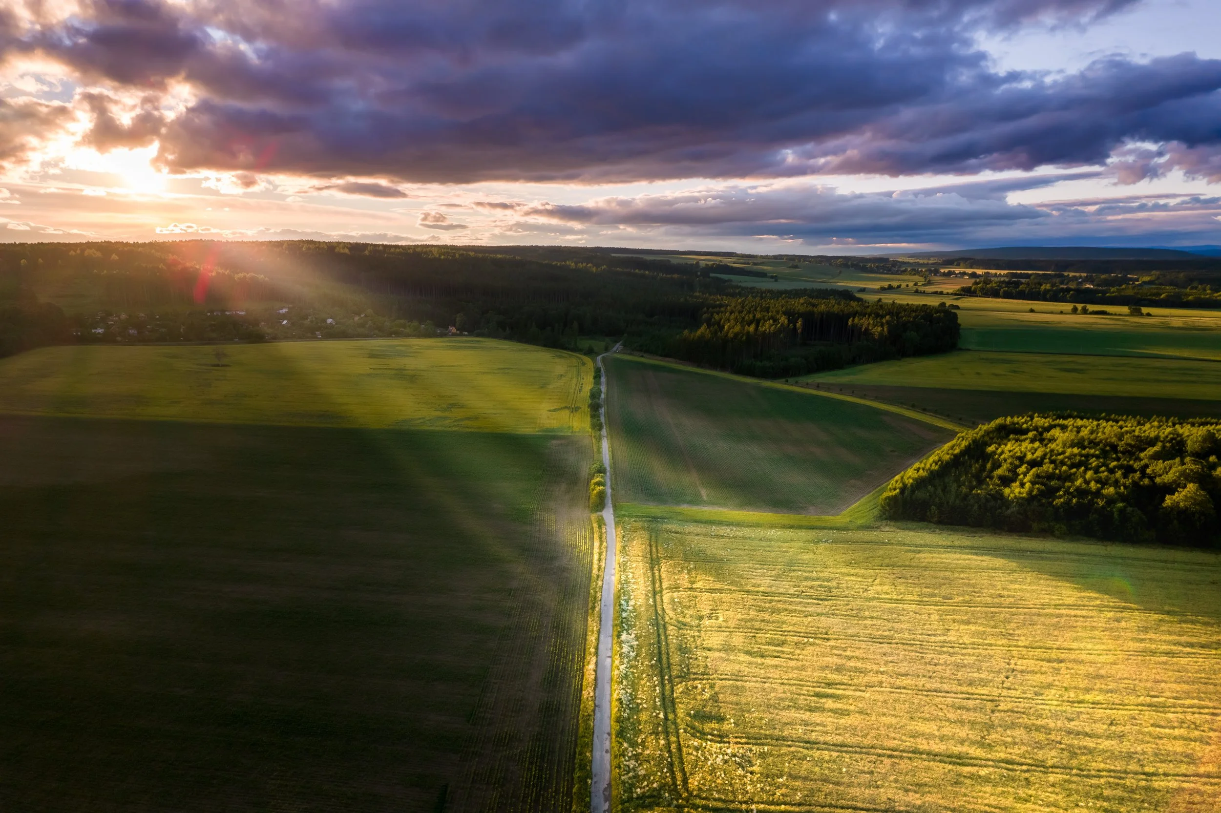 Open farmland with agricultural fields, a dirt road, and a tree line under a partly cloudy sky at sunset.
