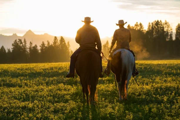 Two people riding horses in a grassy field at sunset with trees and mountains in the background.