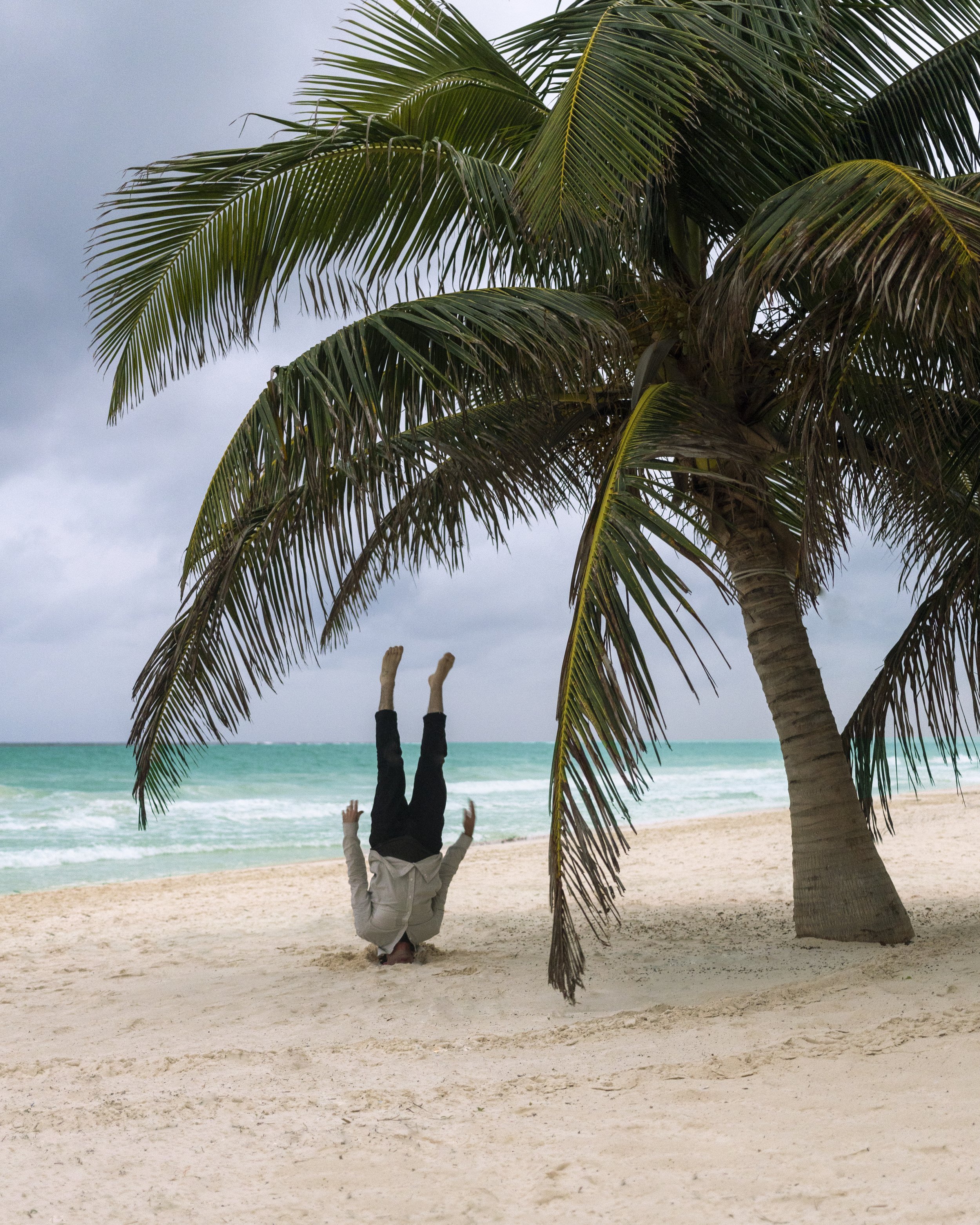 Head in the sand copy4.jpg