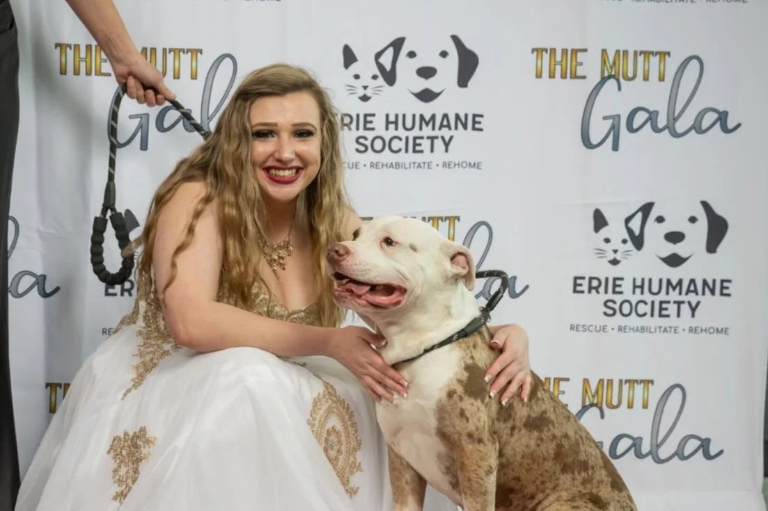 A woman in a white gown smiling and sitting next to a large, light-brown and white dog at Erie Humane Society's event.