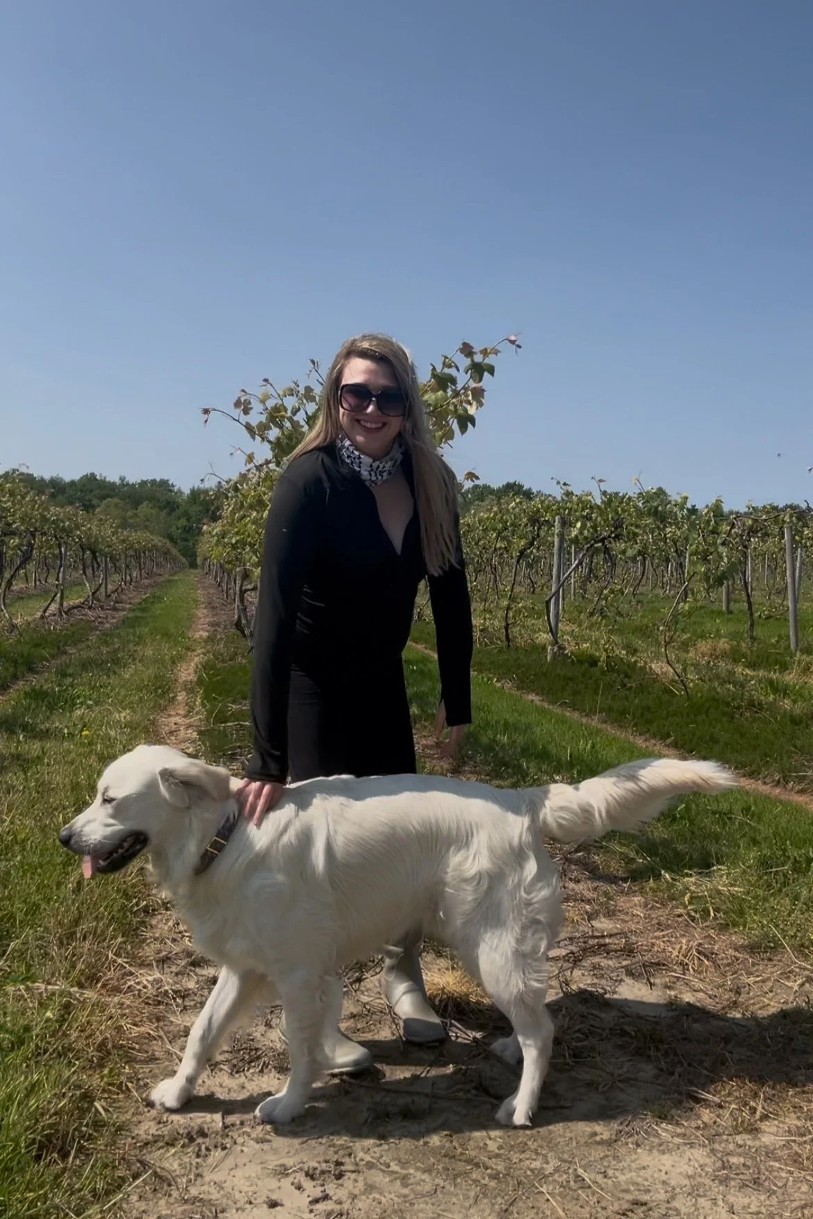 Woman in black dress and sunglasses outdoors in a vineyard with a white dog, both smiling, on a sunny day.