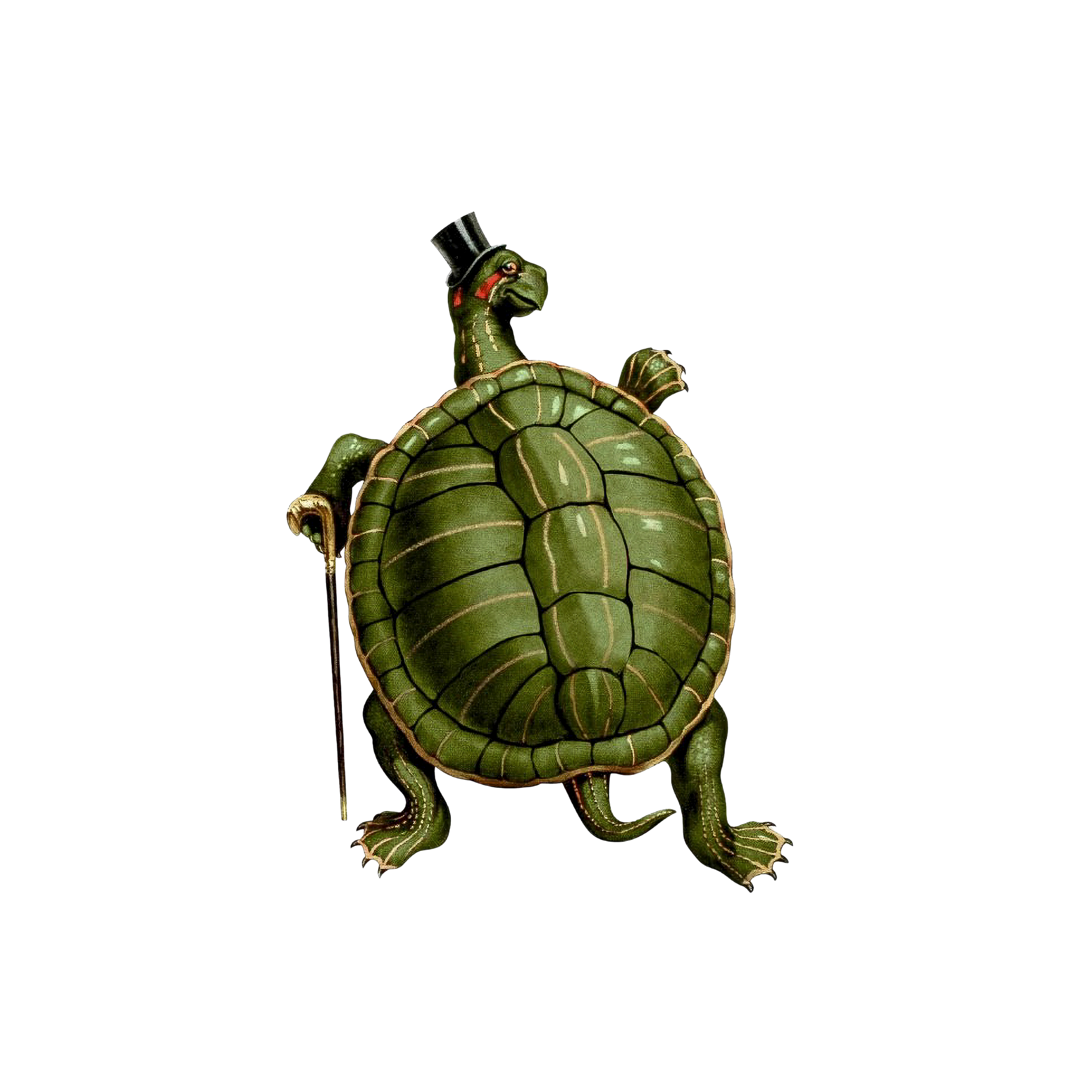 83 Million Years