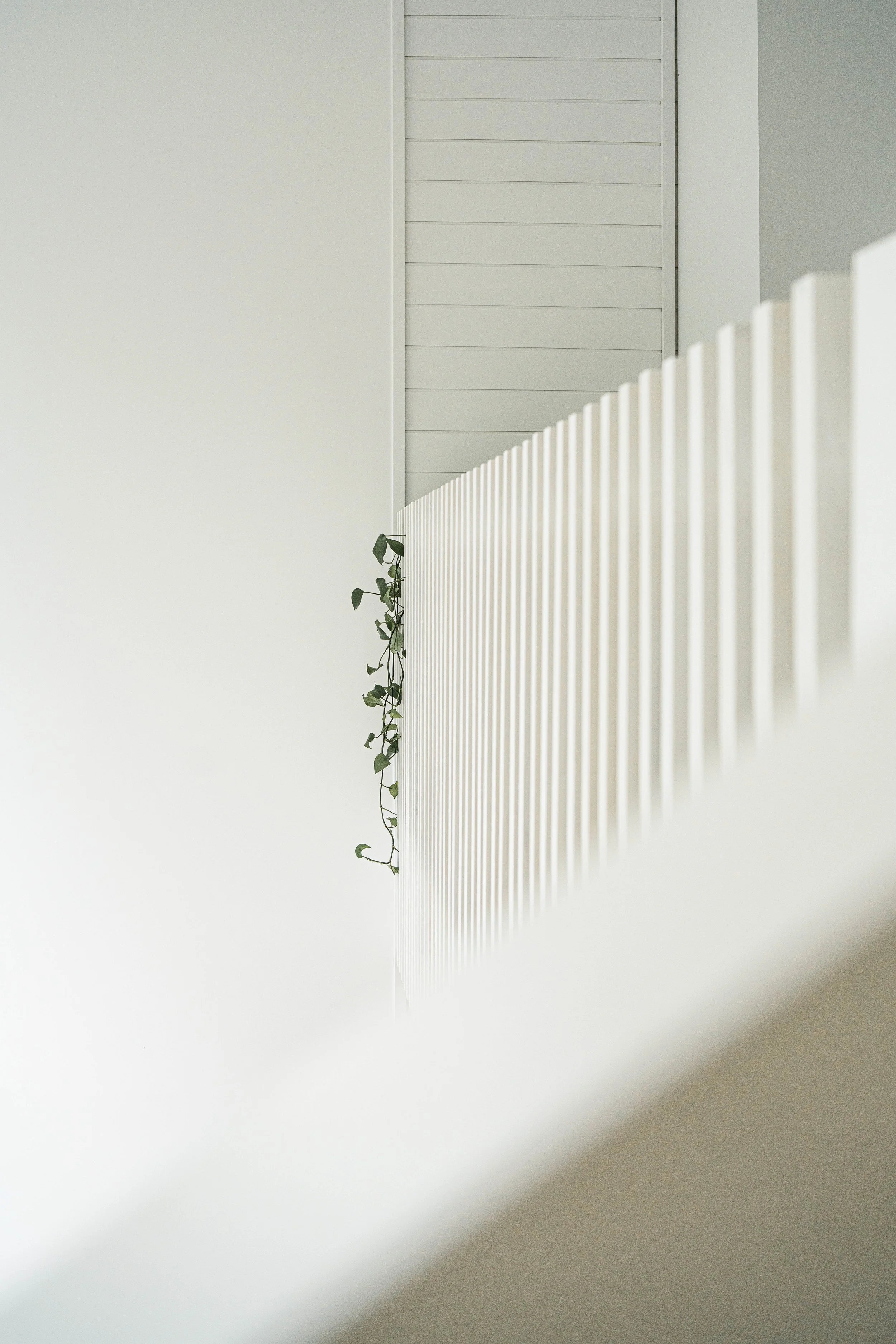 Une rambarde blanche avec une plante grimpante suspendue, murs blancs et portes en bois peint en blanc dans un espace intérieur minimaliste.