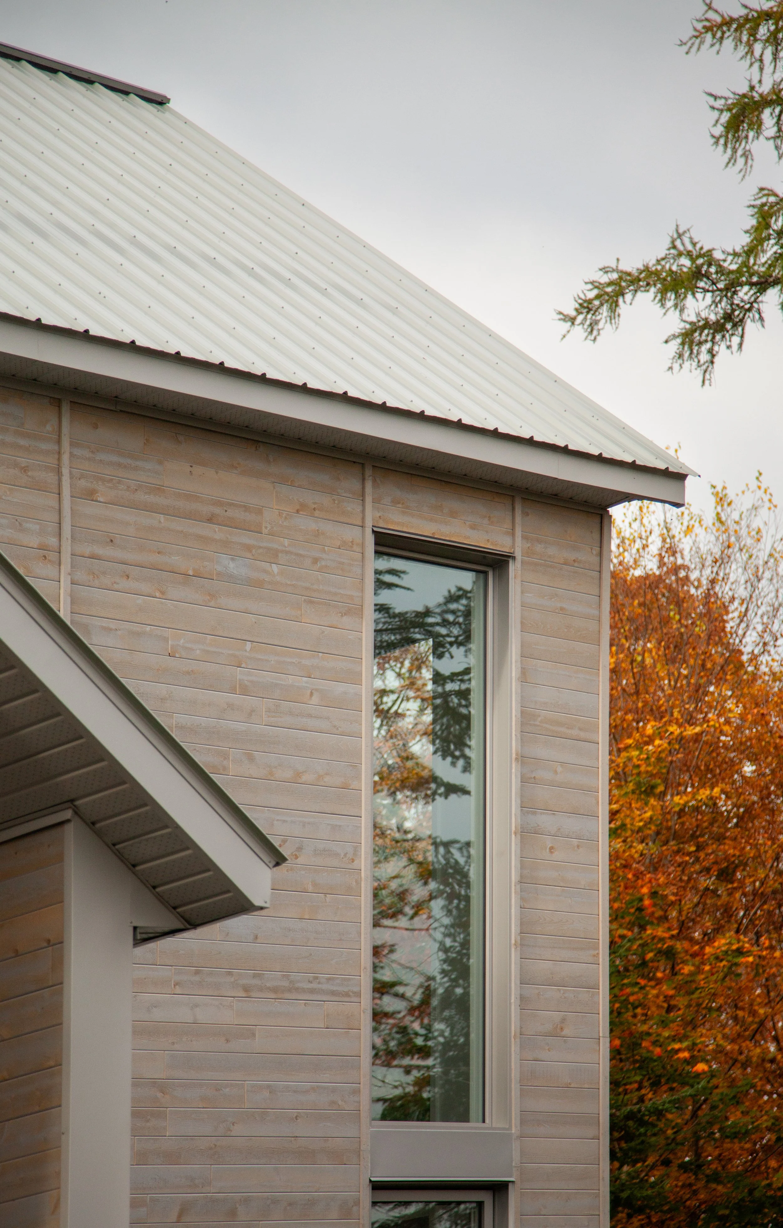 Façade d'une maison moderne avec murs en bois clair, fenêtre rectangulaire et toit en métal blanc. Arbres aux feuilles orange en arrière-plan.