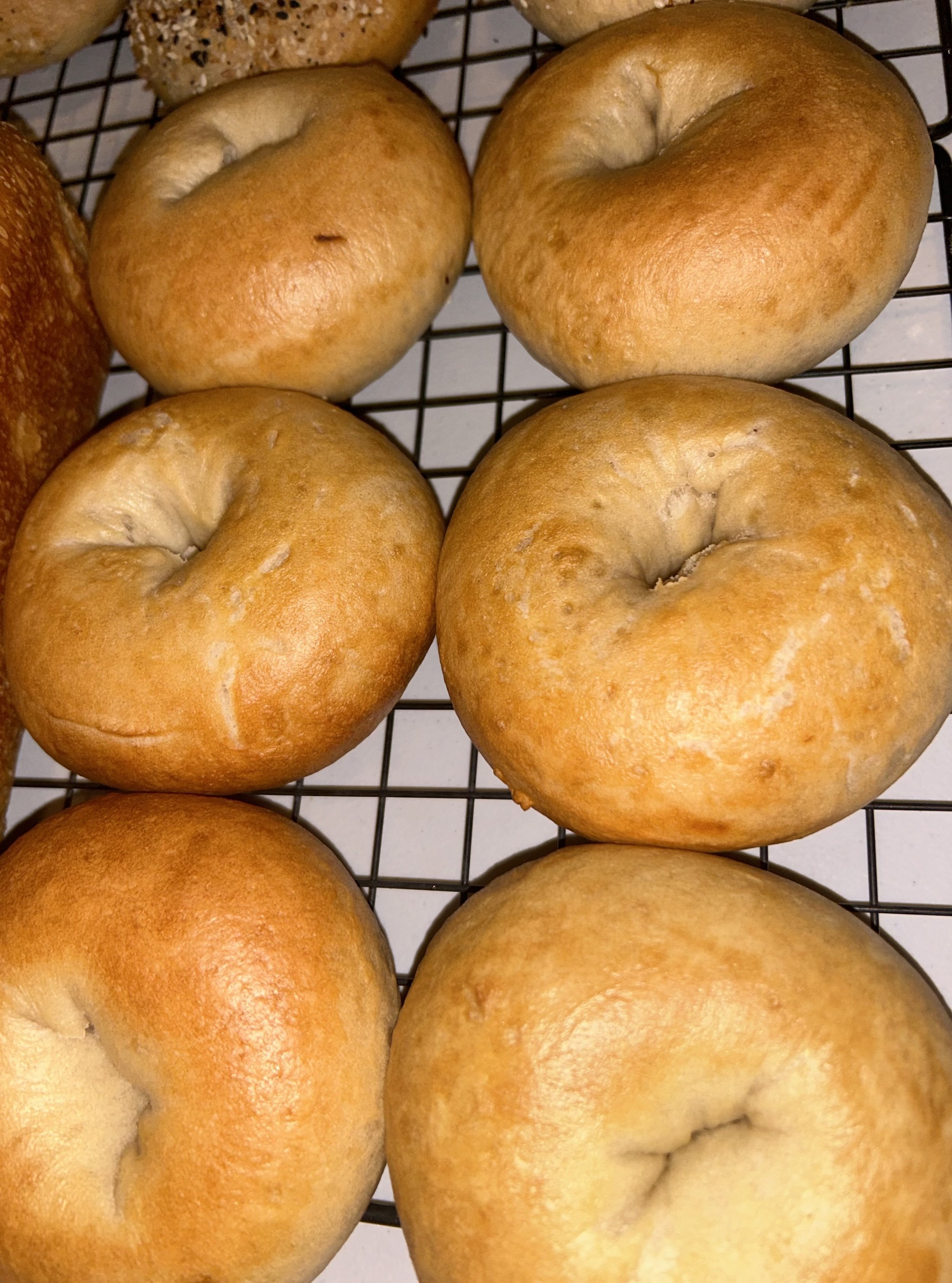 Plain Bagels
