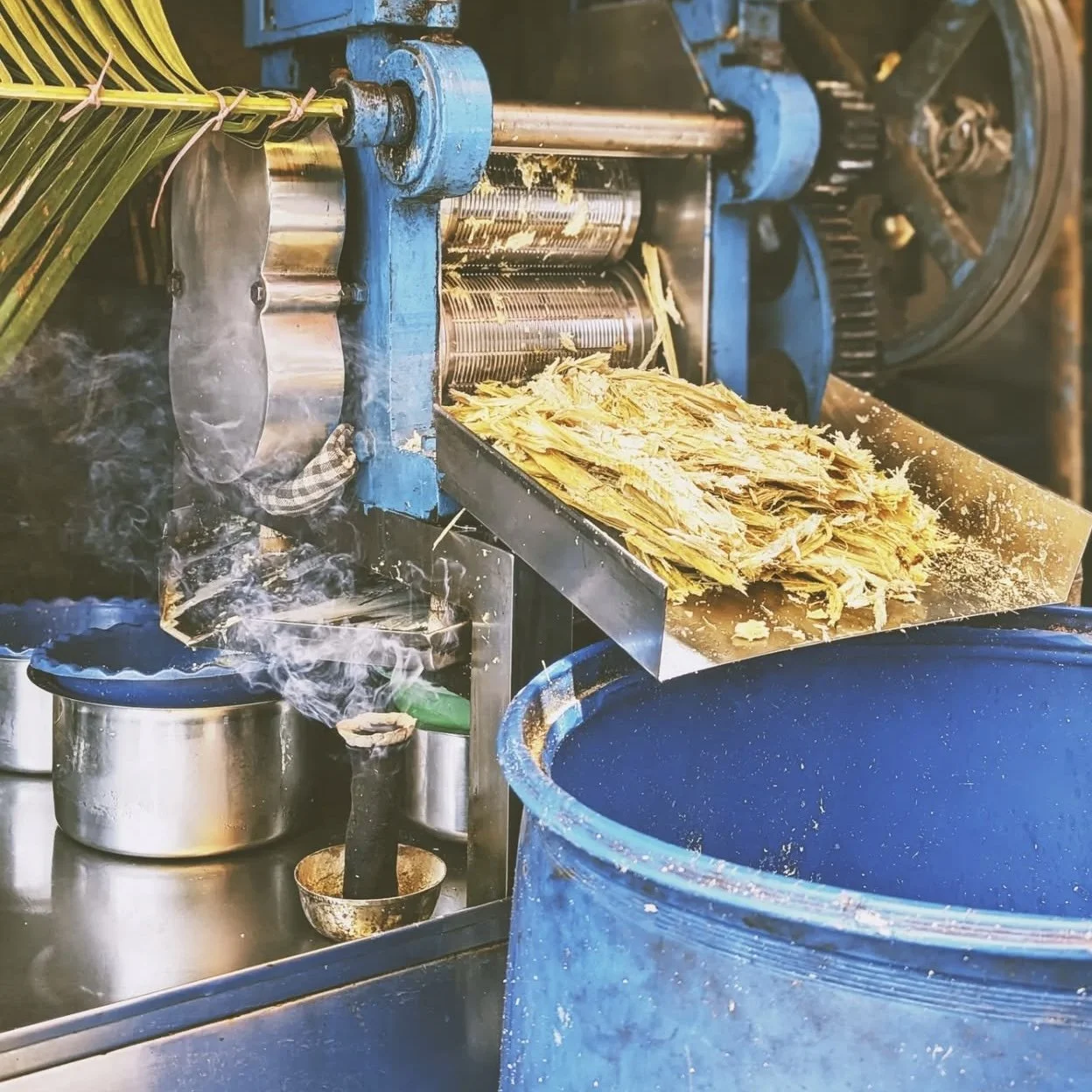Sugar Cane India Through My Lenses Holiday Tour .jpg