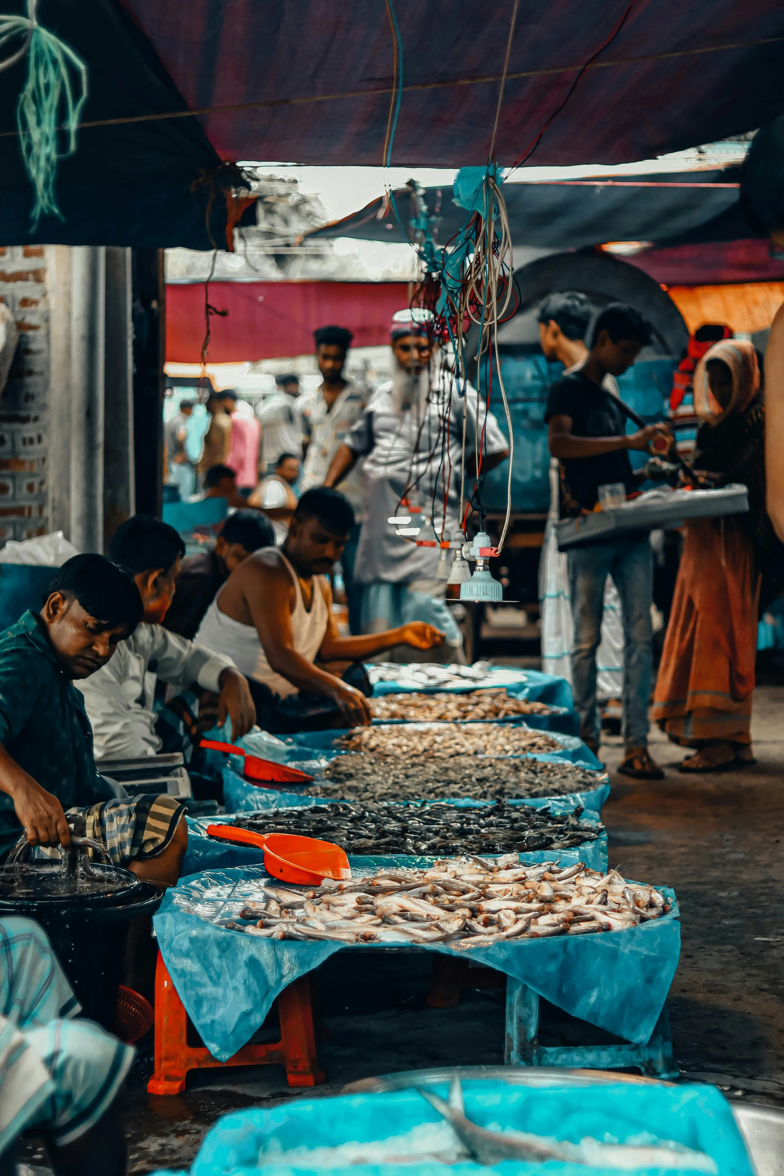 3 - Spice Savour Tour of India .jpg