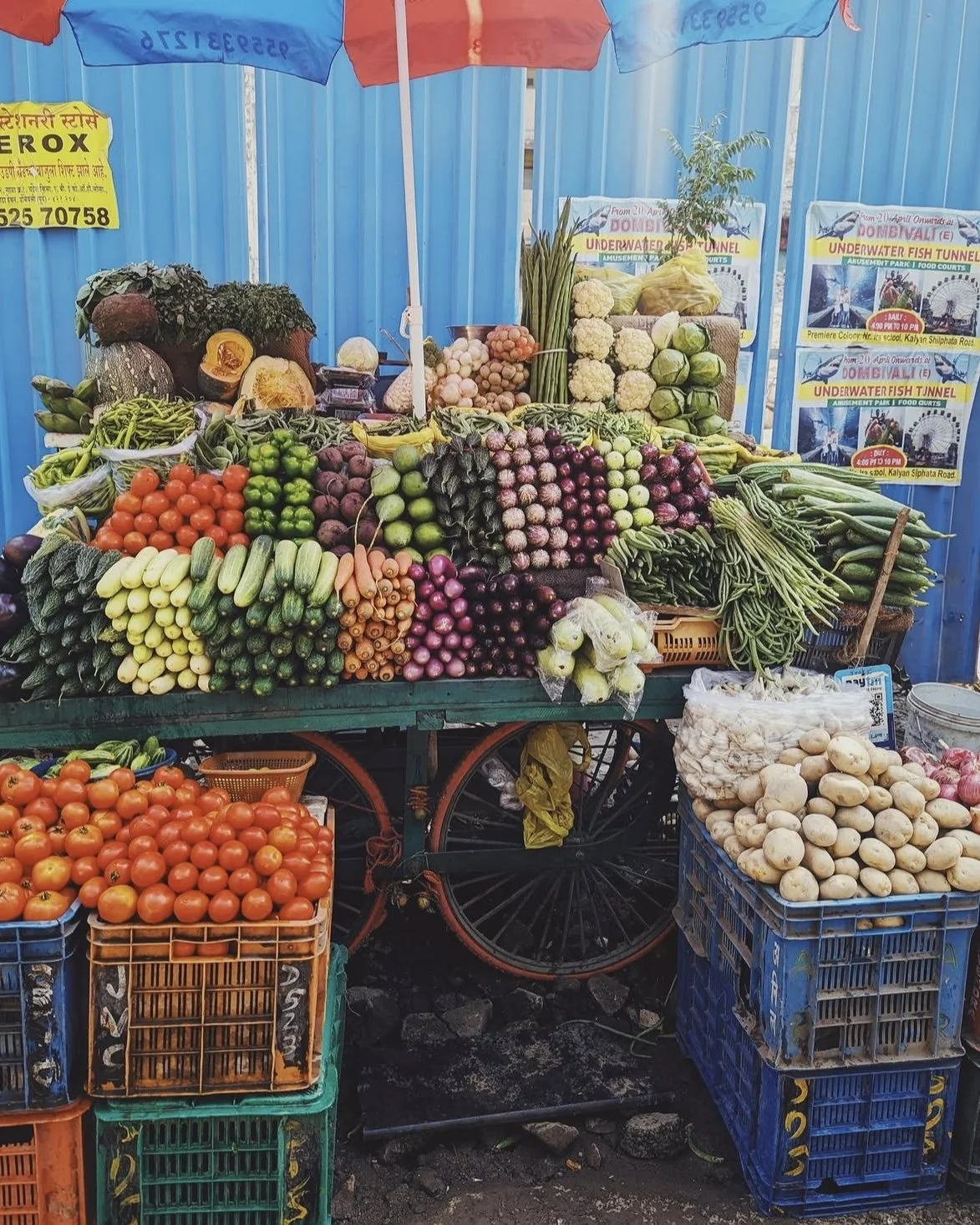 9 India Through My Lens Tour Bhavna.jpg