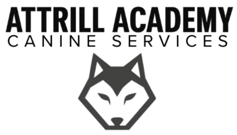 Attrill Academy Canine Services