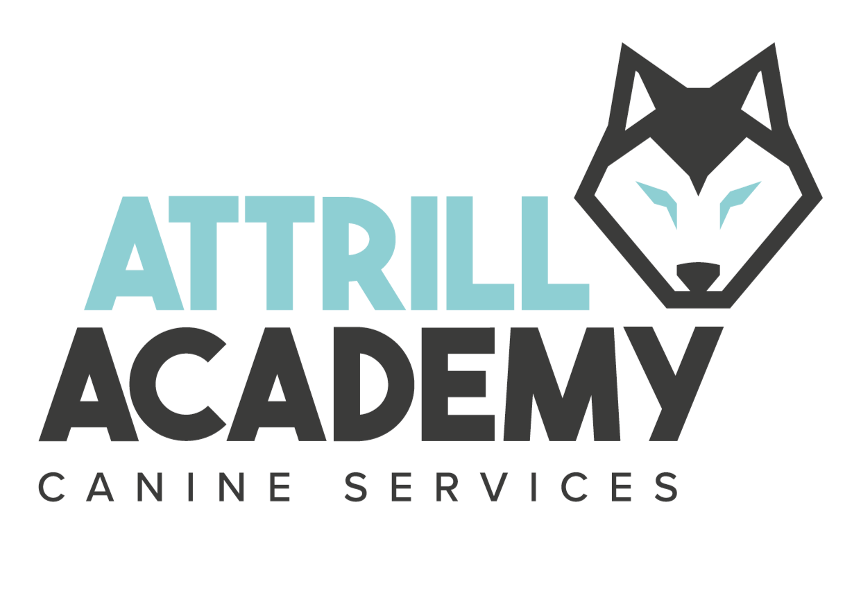 Attrill Academy Canine Services