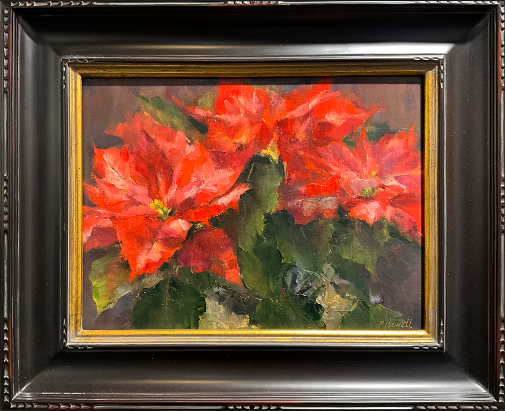 Variegated Poinsettia