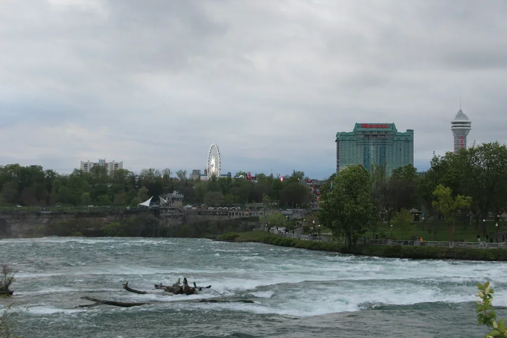 View of a city skyline with a river in the foreground, featuring trees, a Ferris wheel, and a tall building with the Sheraton logo.