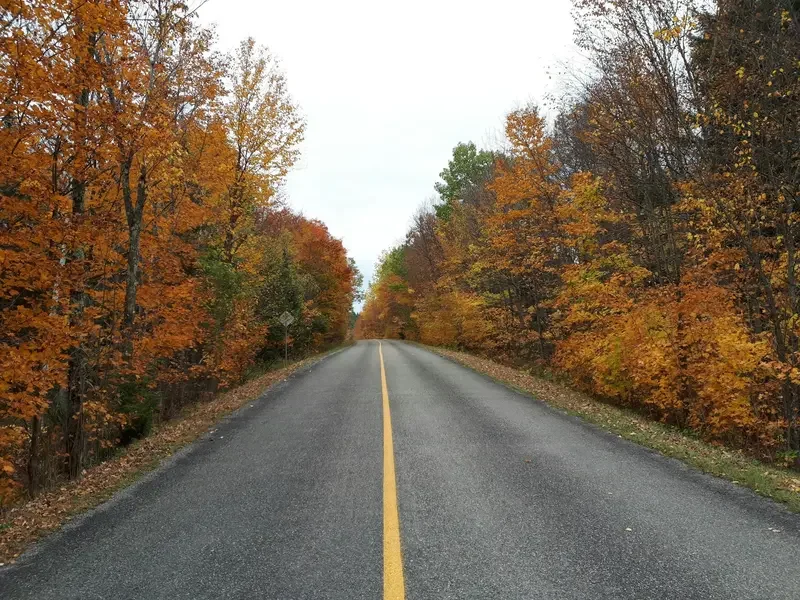 A two-lane road with a yellow dividing line running through fall foliage on both sides, with trees featuring orange, yellow, and some green leaves.