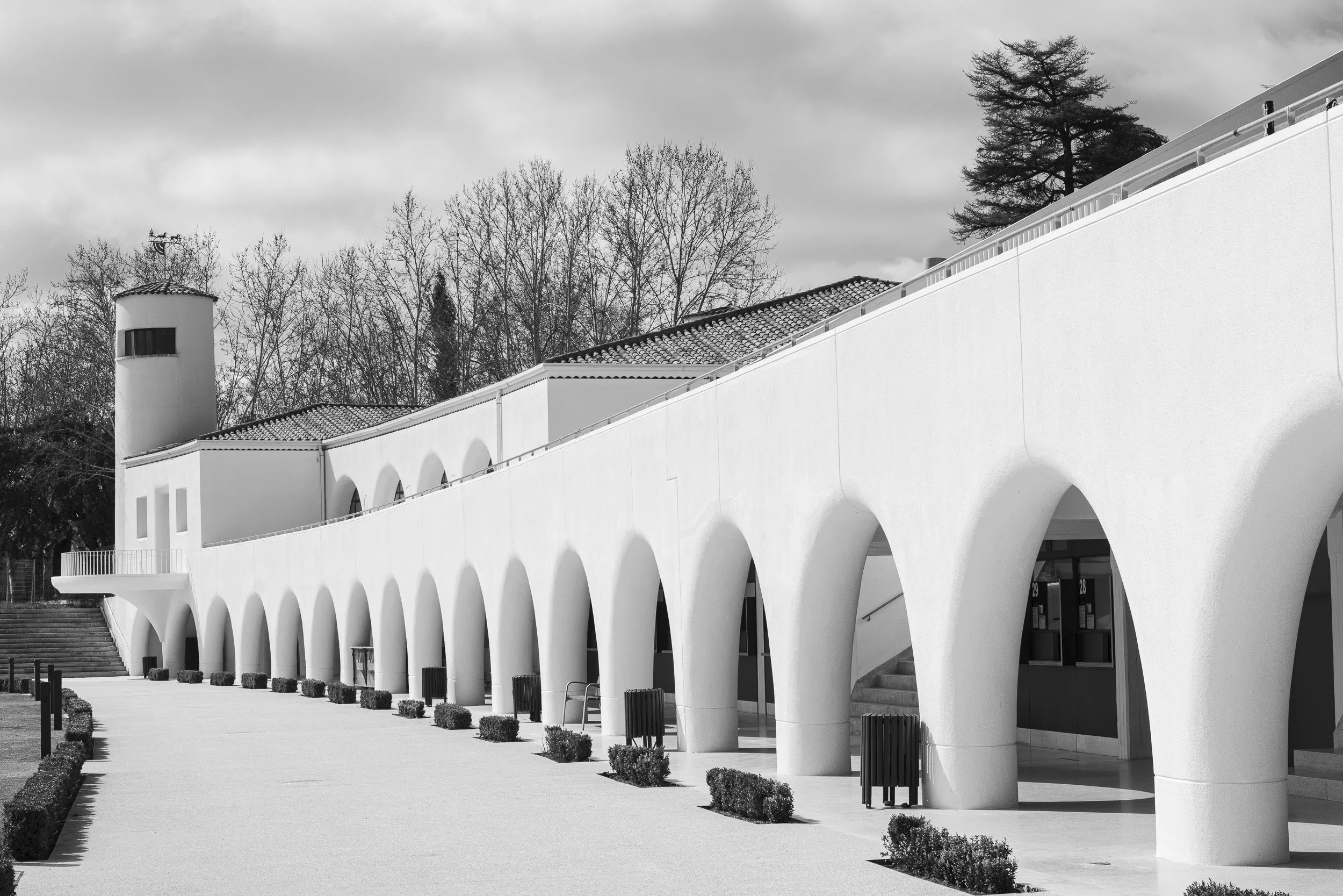 HIPODROMO_SITE-6.jpg