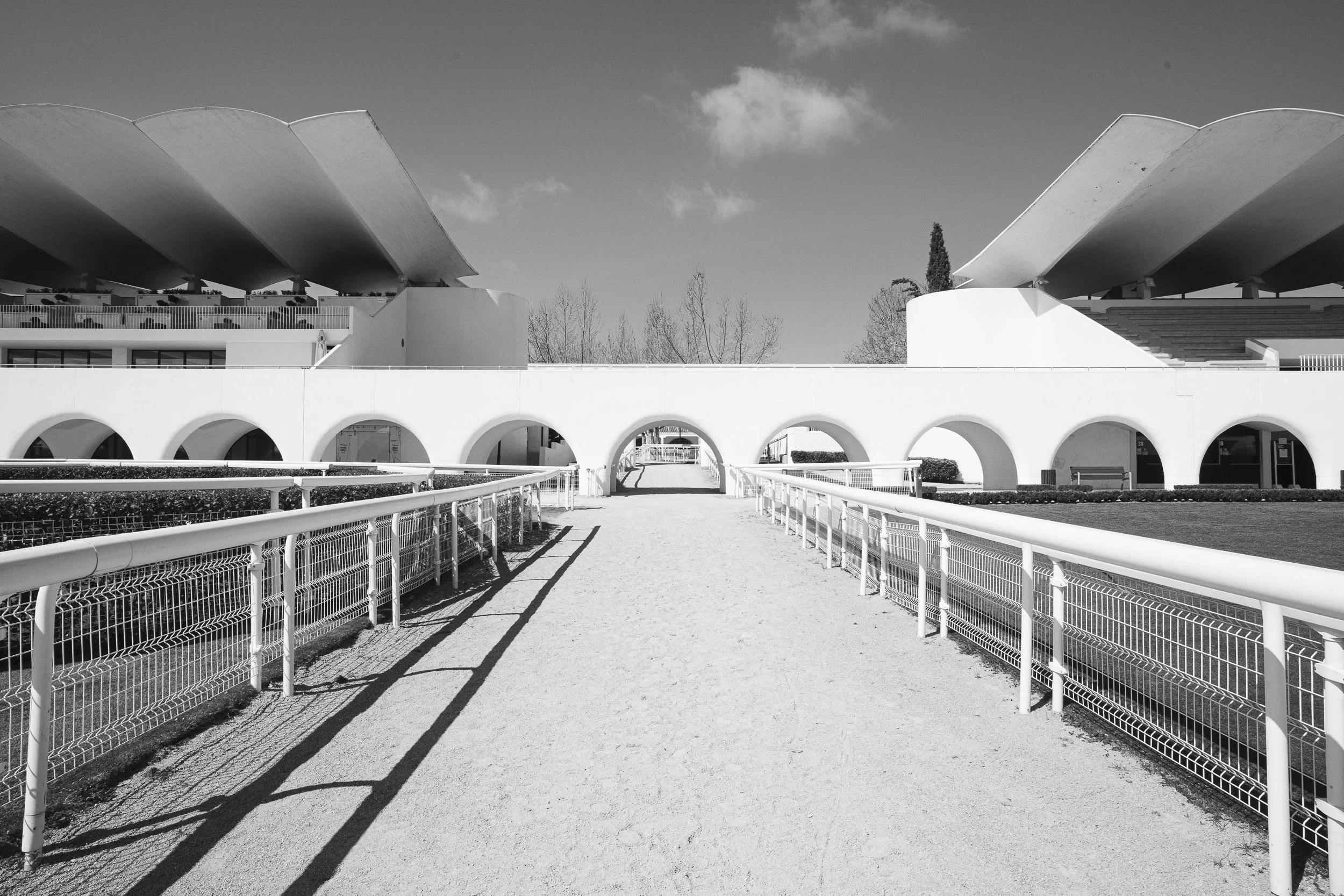 HIPODROMO_SITE-8.jpg
