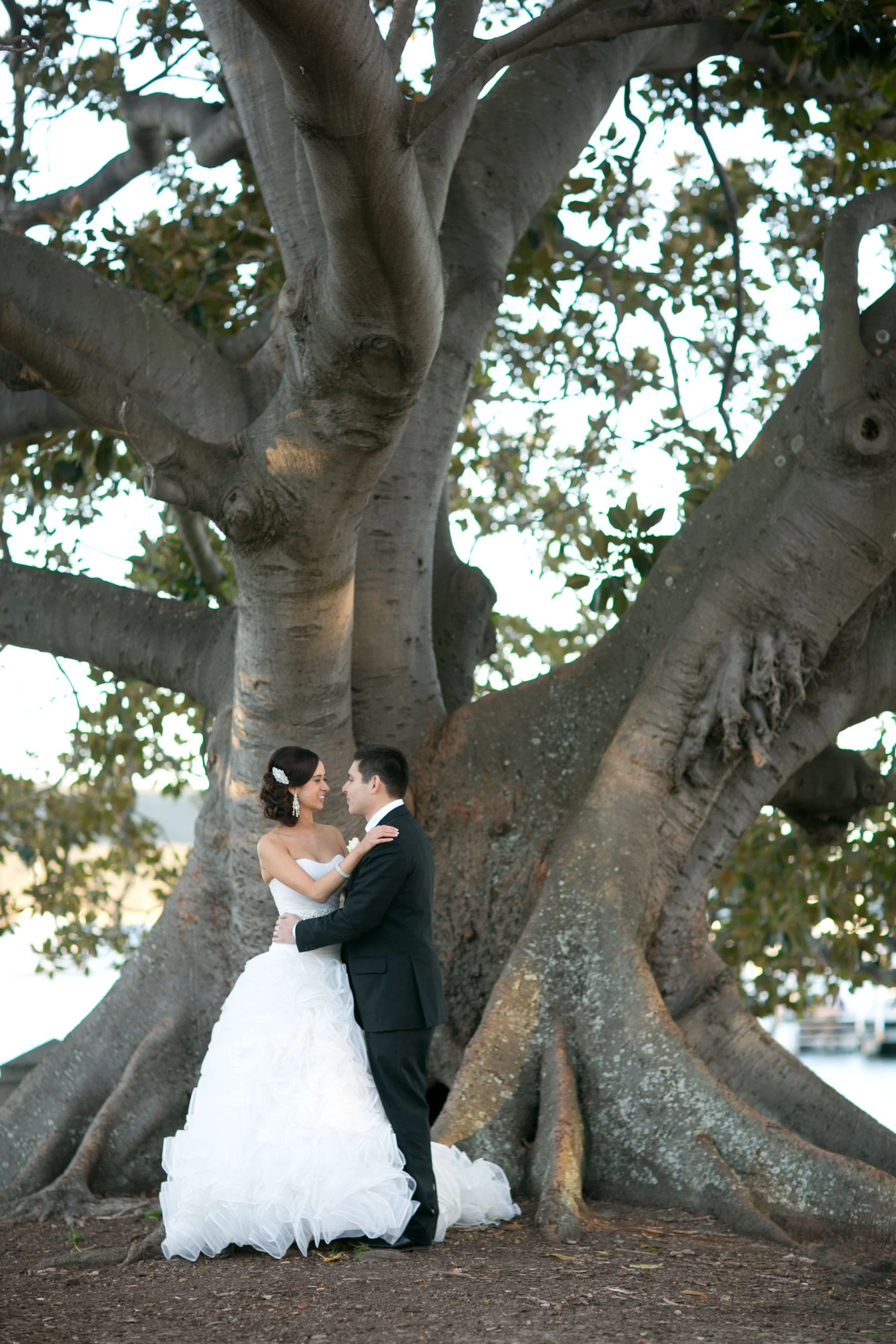 balmoral-beach-wedding-bridal-portraits-fig-tree-embrace-17.jpg