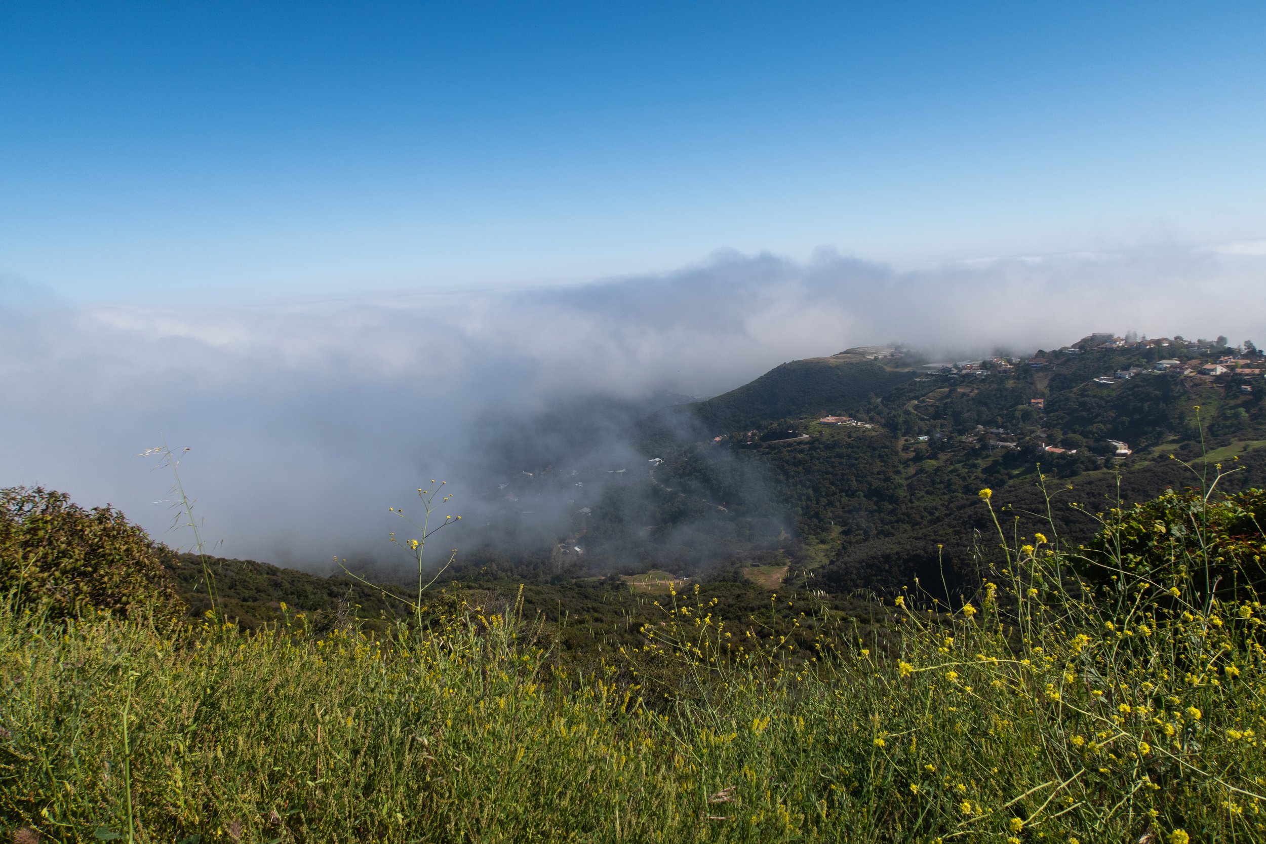 FOREVERMORE2024 | @ofcoursepolly-82.jpg