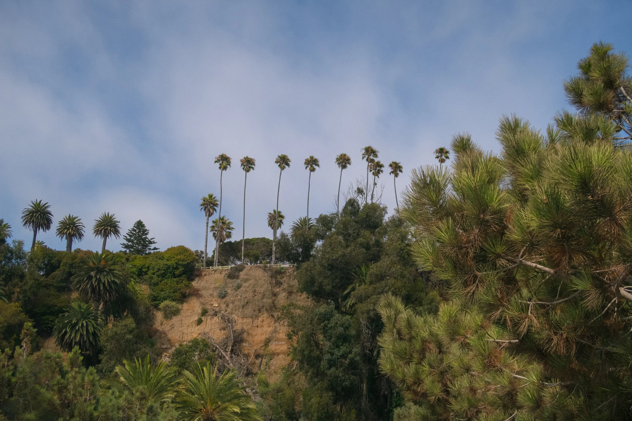 FOREVERMORE2024 | @ofcoursepolly-237.jpg