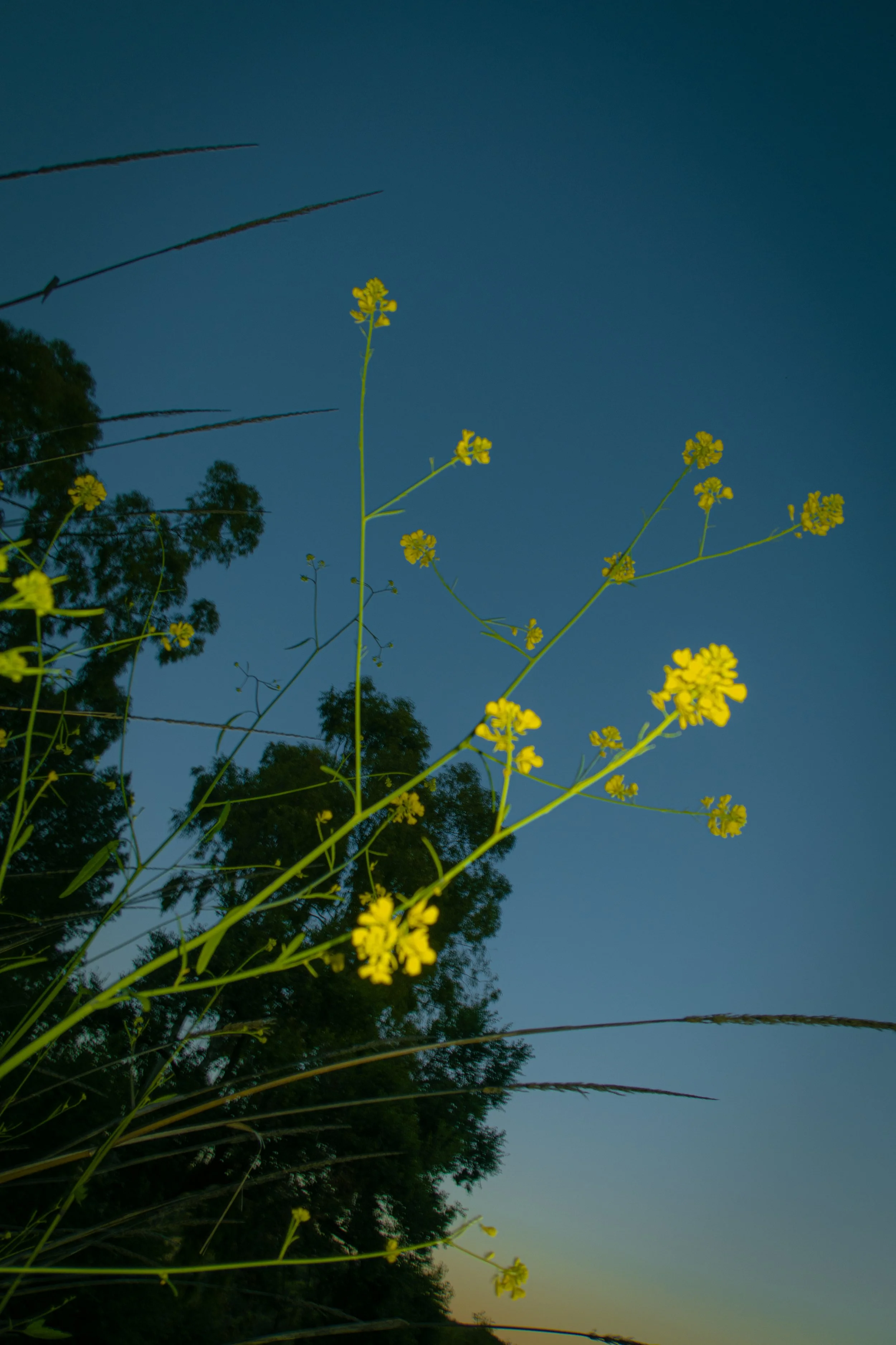 FOREVERMORE2024 | @ofcoursepolly-68.jpg