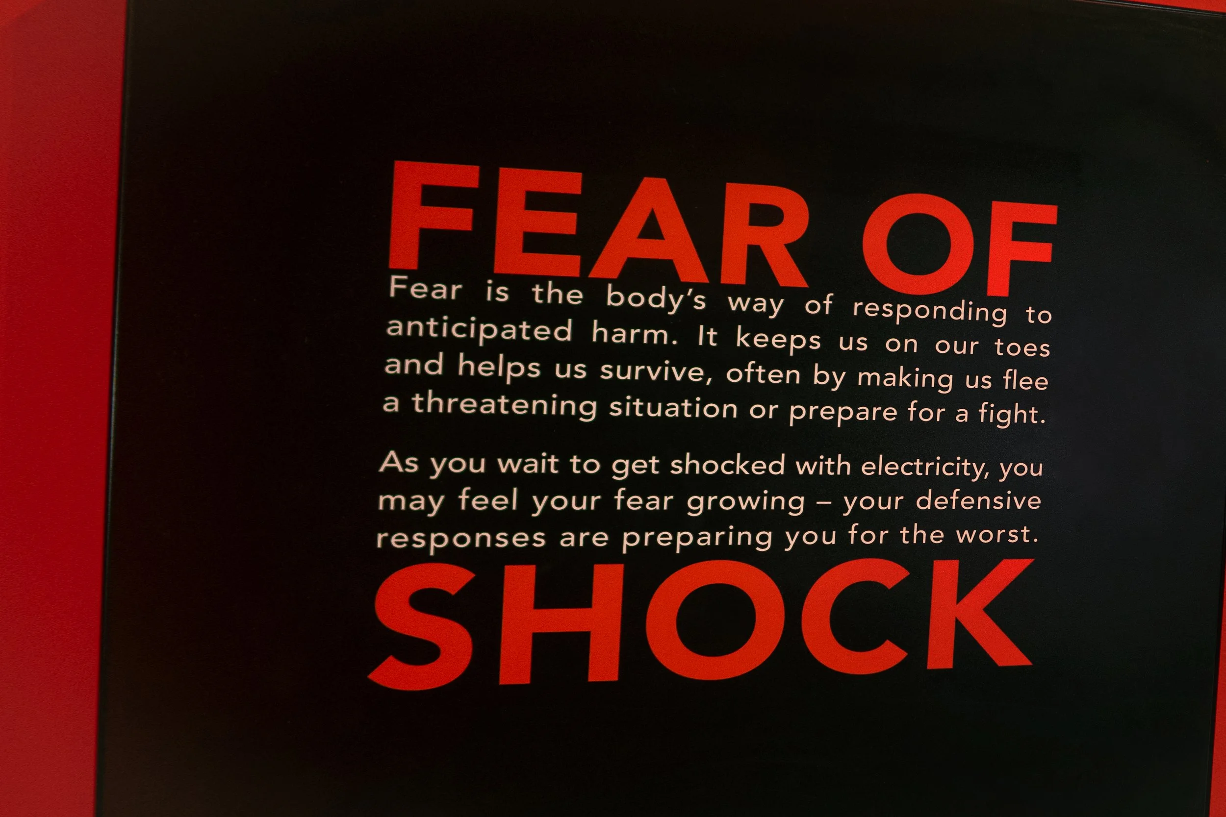 FOREVERMORE2024 | @ofcoursepolly-8.jpg