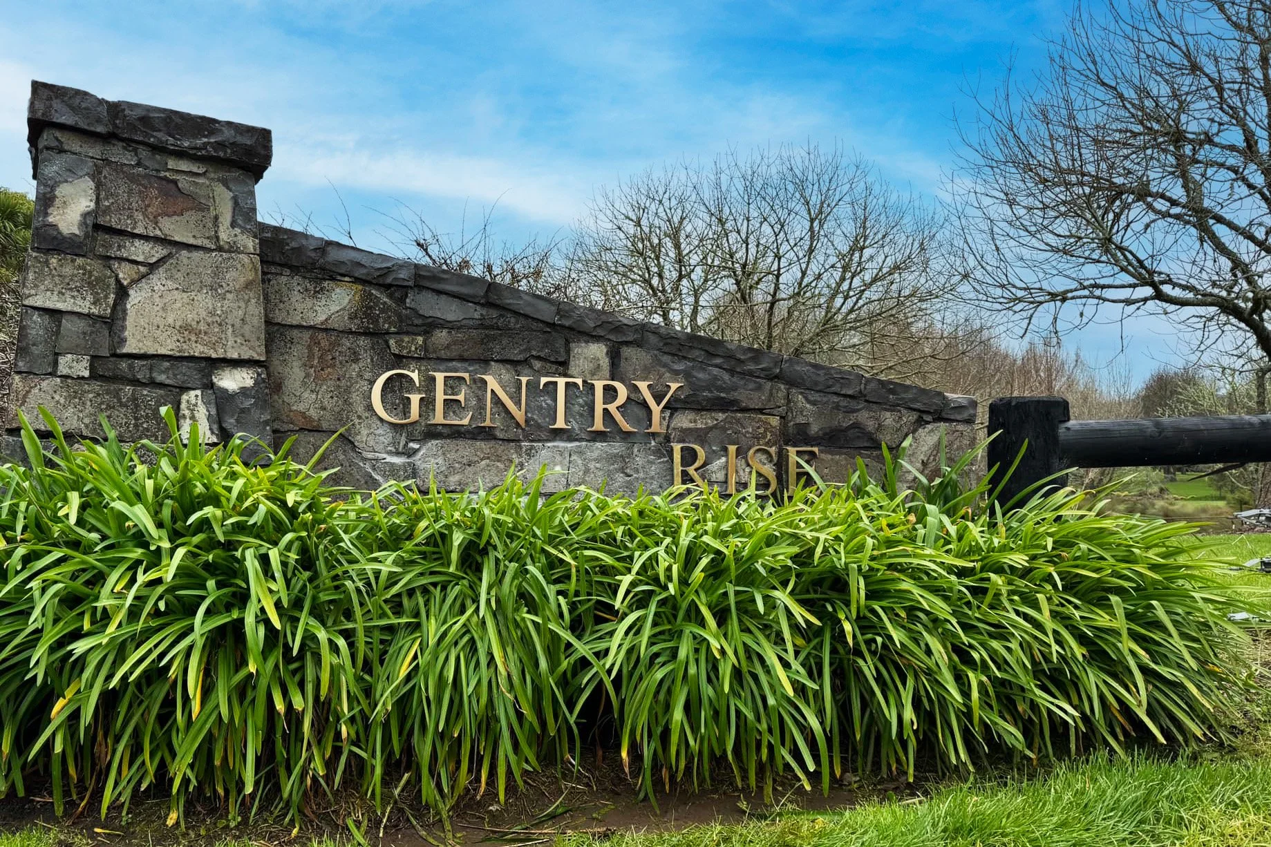 gentry-rise2.jpg