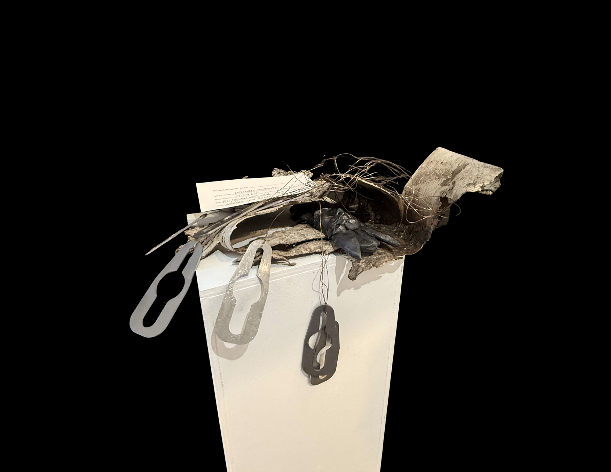 Host | from the series "Between Orbits"