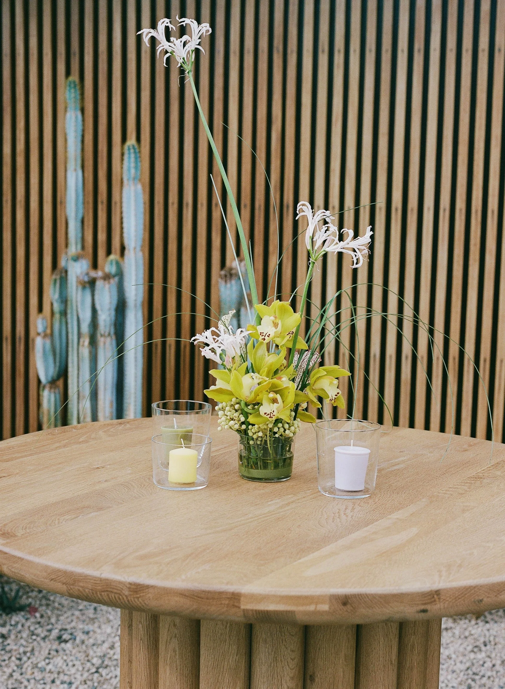 NIKKISTREKOWSKIPHOTO_LEE&DANIEL_PALMSPRINGS_FILM-317 (1).jpg