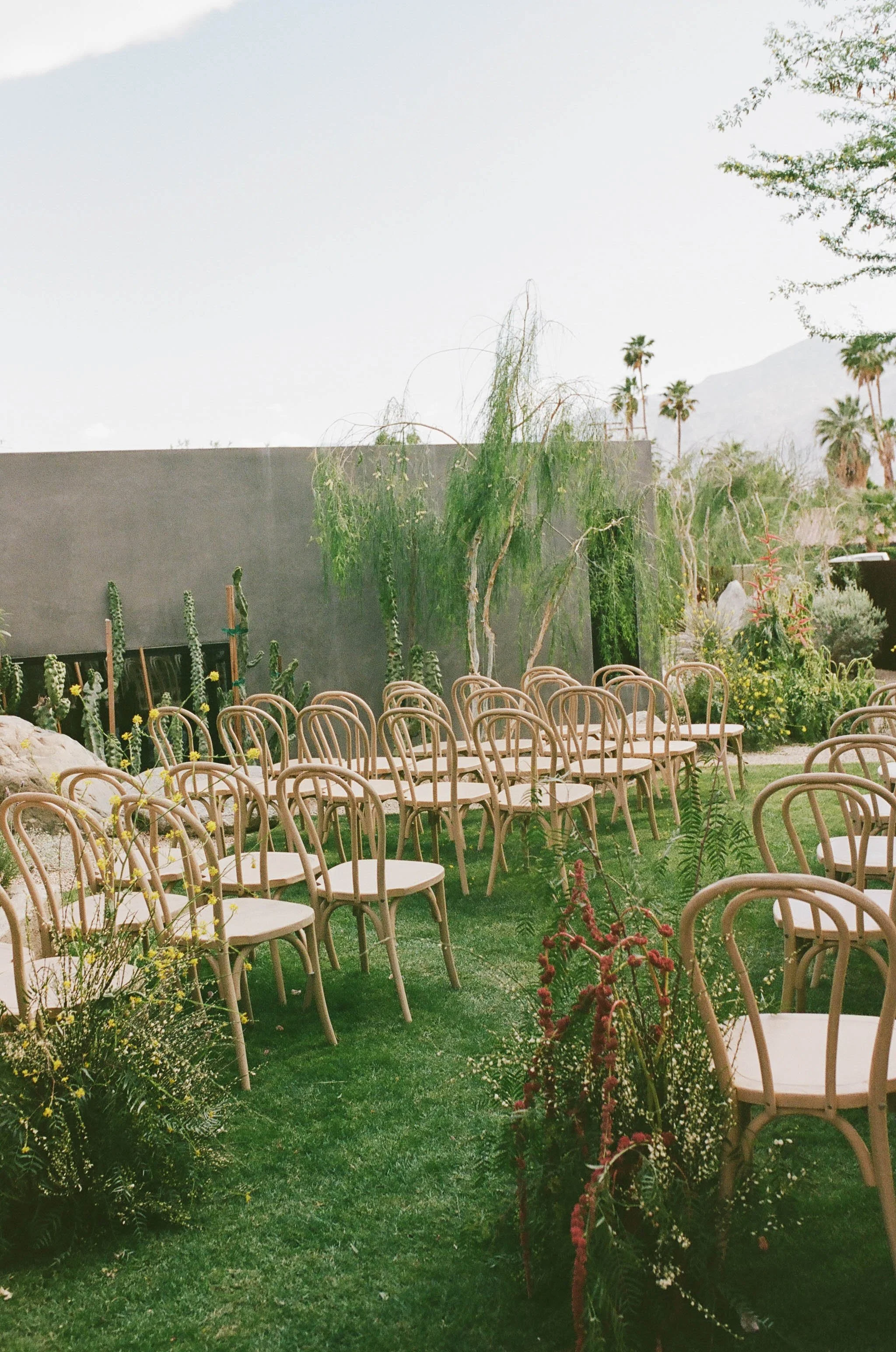 NIKKISTREKOWSKIPHOTO_LEE&DANIEL_PALMSPRINGS_FILM-184 (1).jpg