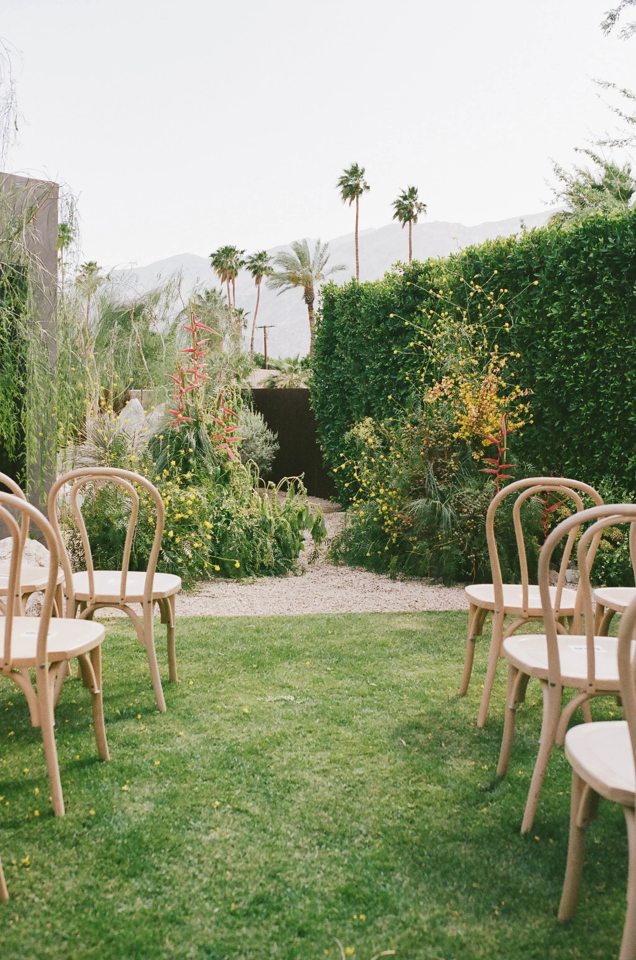 NIKKISTREKOWSKIPHOTO_LEE&DANIEL_PALMSPRINGS_FILM-185 (1).jpg