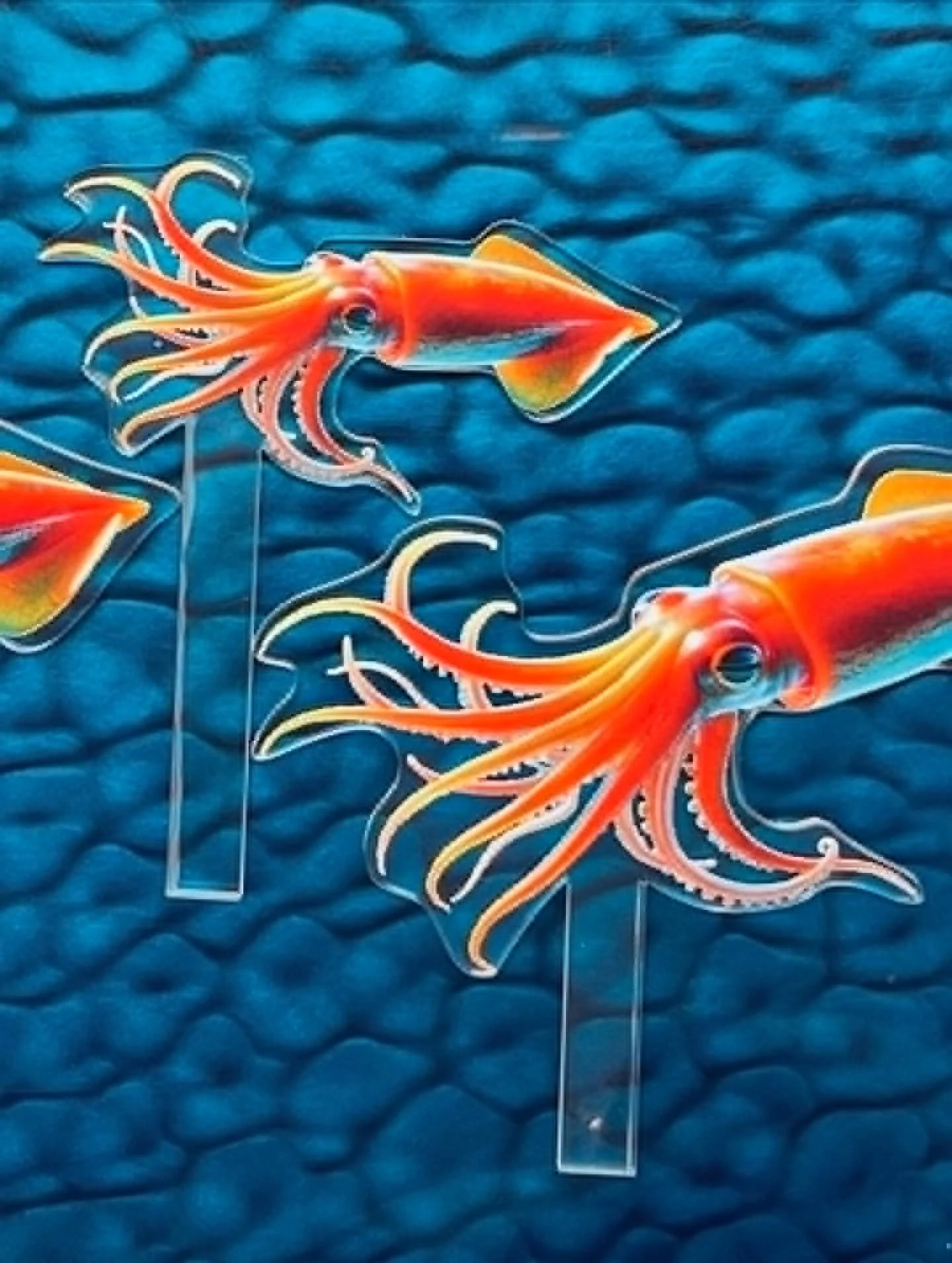 squids.jpg