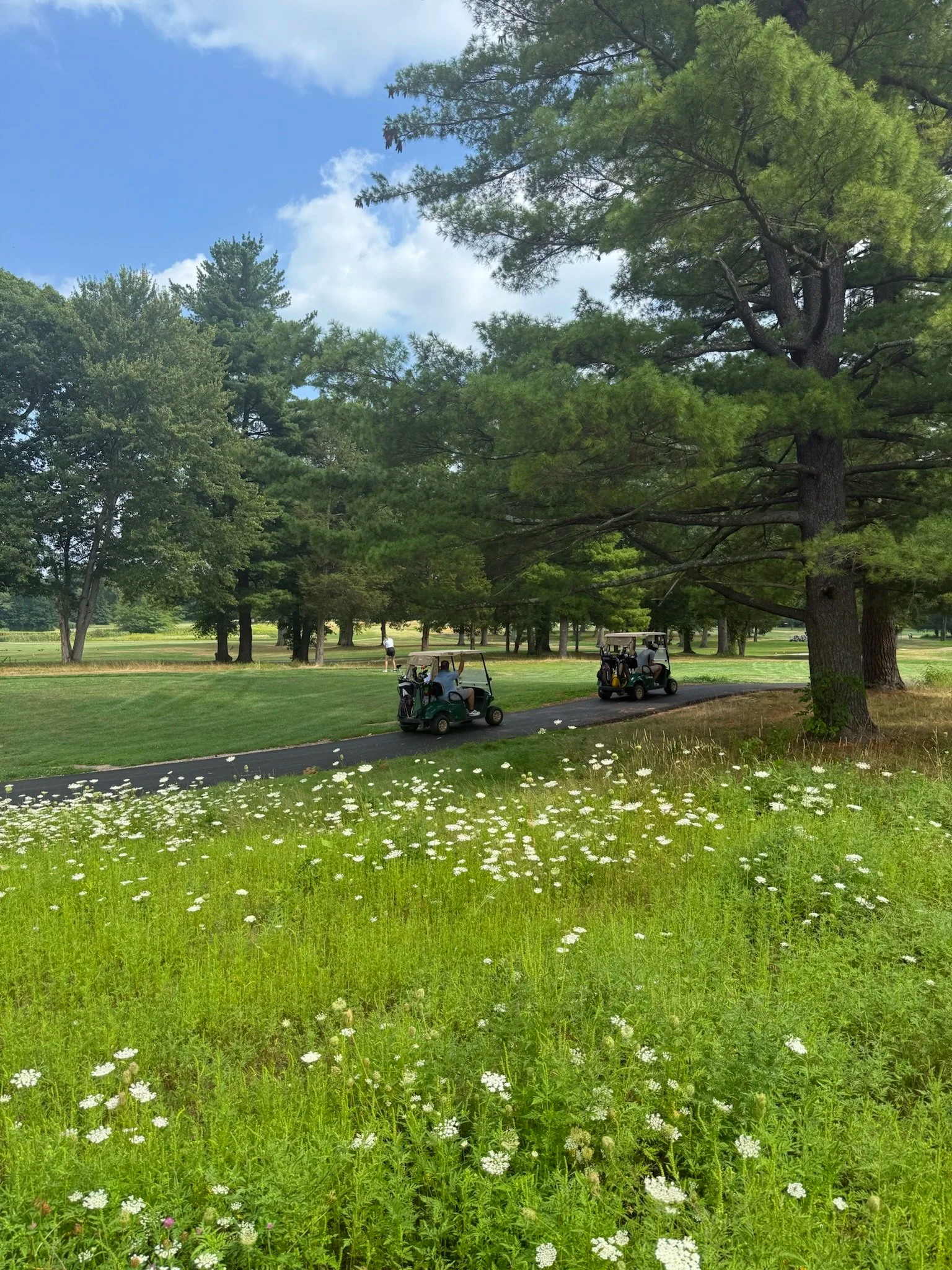 Wild+Flowers+and+Carts.png