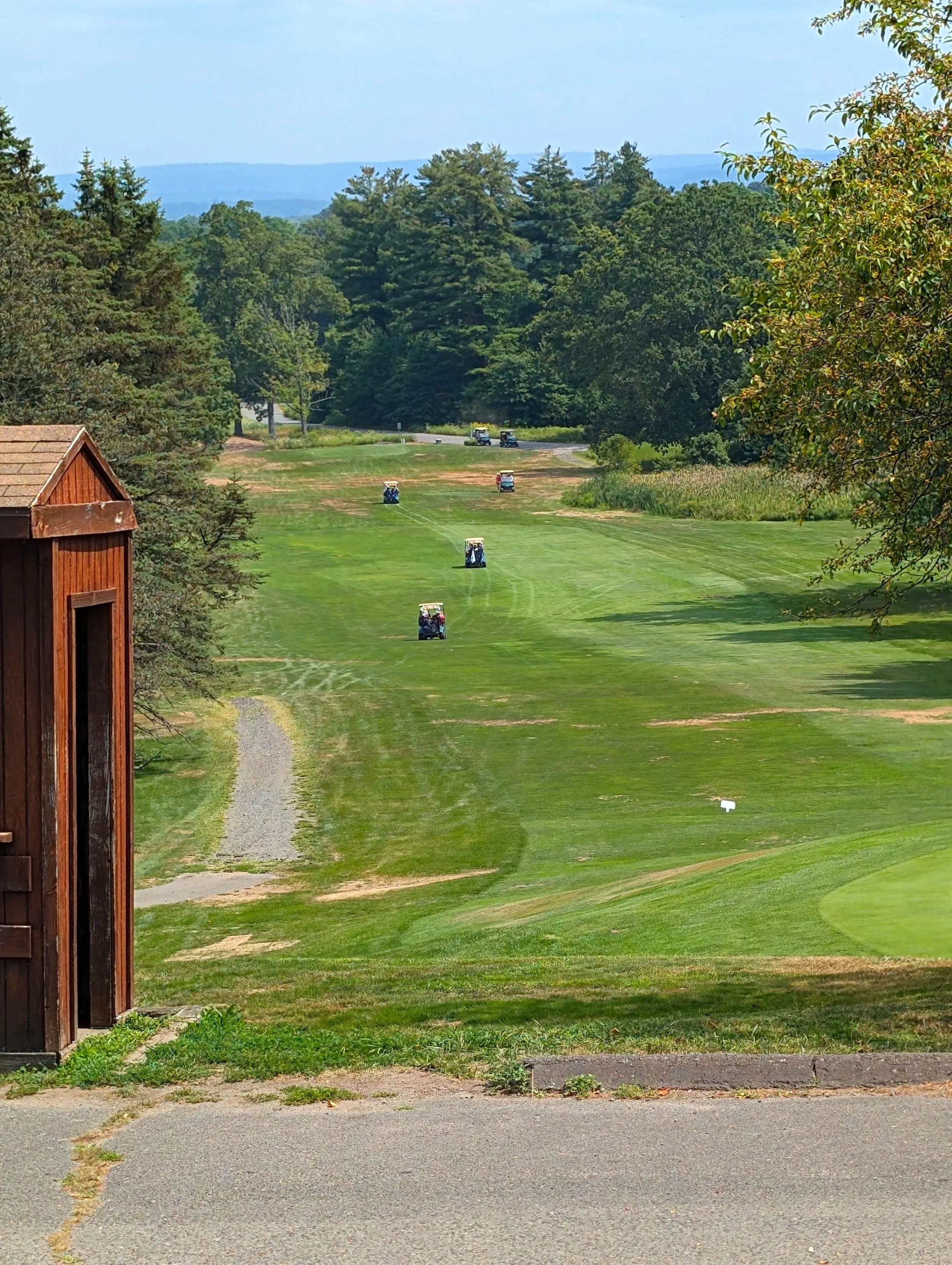 Carts+Down+the+Hill.jpg