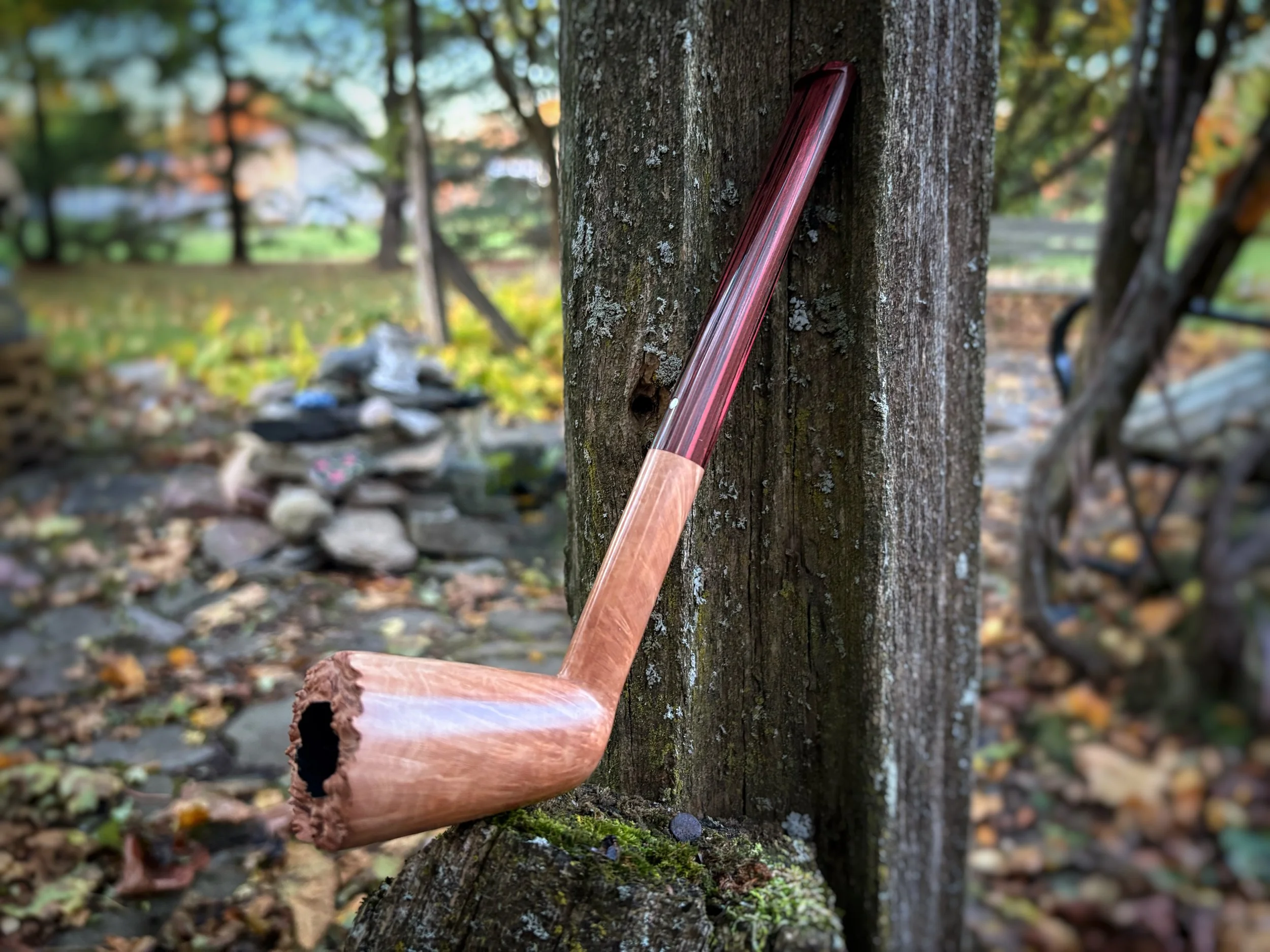 A Wooden Canted Dublin Chimney smoking pipe resting on a moss-covered tree trunk outdoors, with a blurred background of rocks, trees, and leaves.