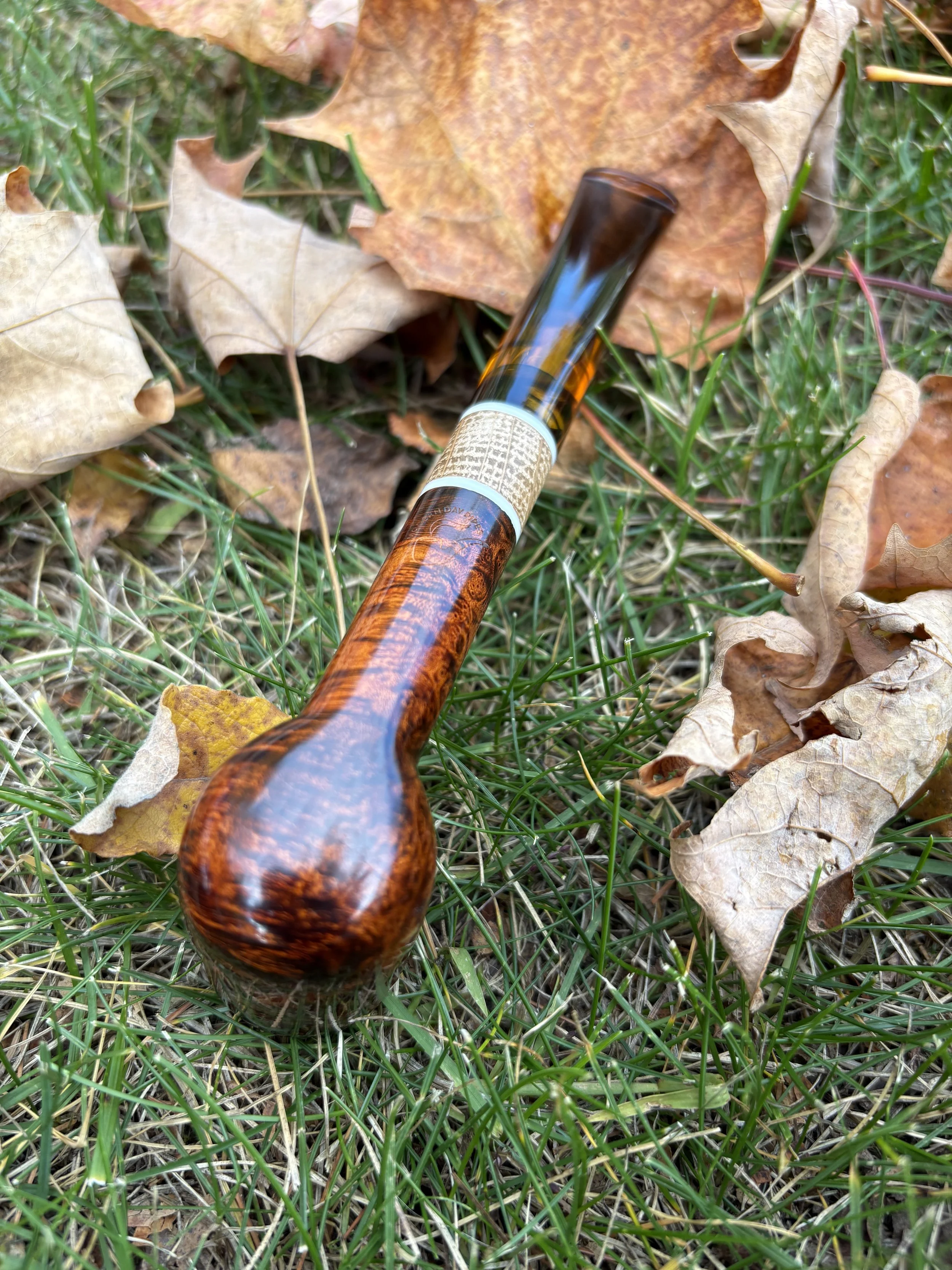 A Billiard pipe with an amber stem, lying on the grass among dry and green leaves.