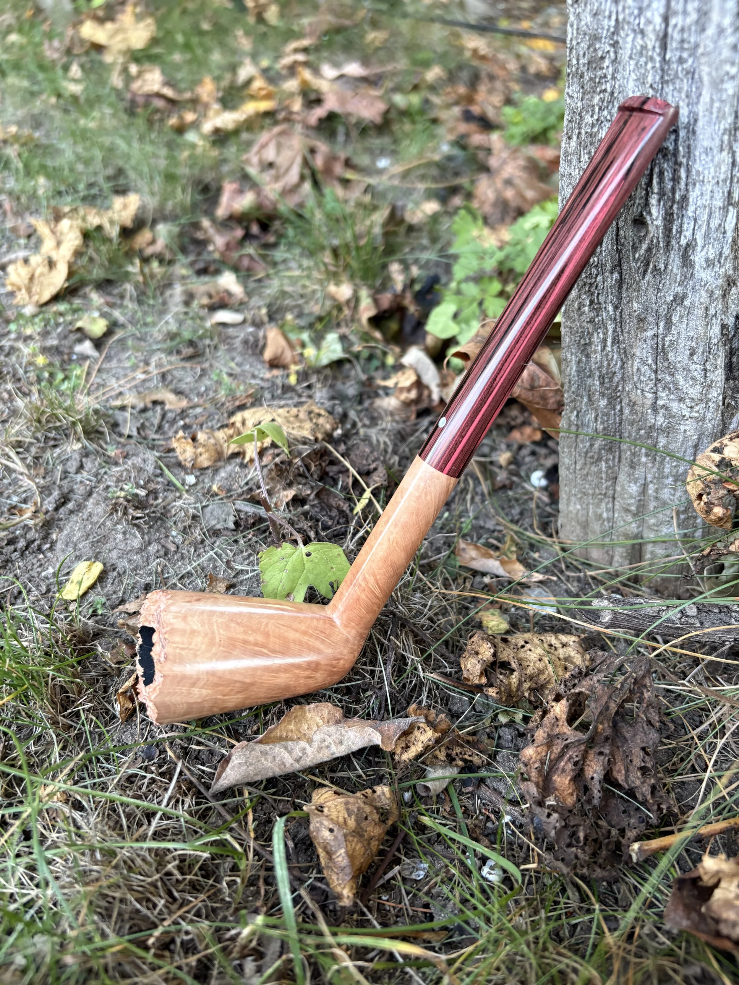 A wooden briar Dublin chimney smoking pipe leaning against a tree in a natural outdoor setting with fallen leaves and grass.