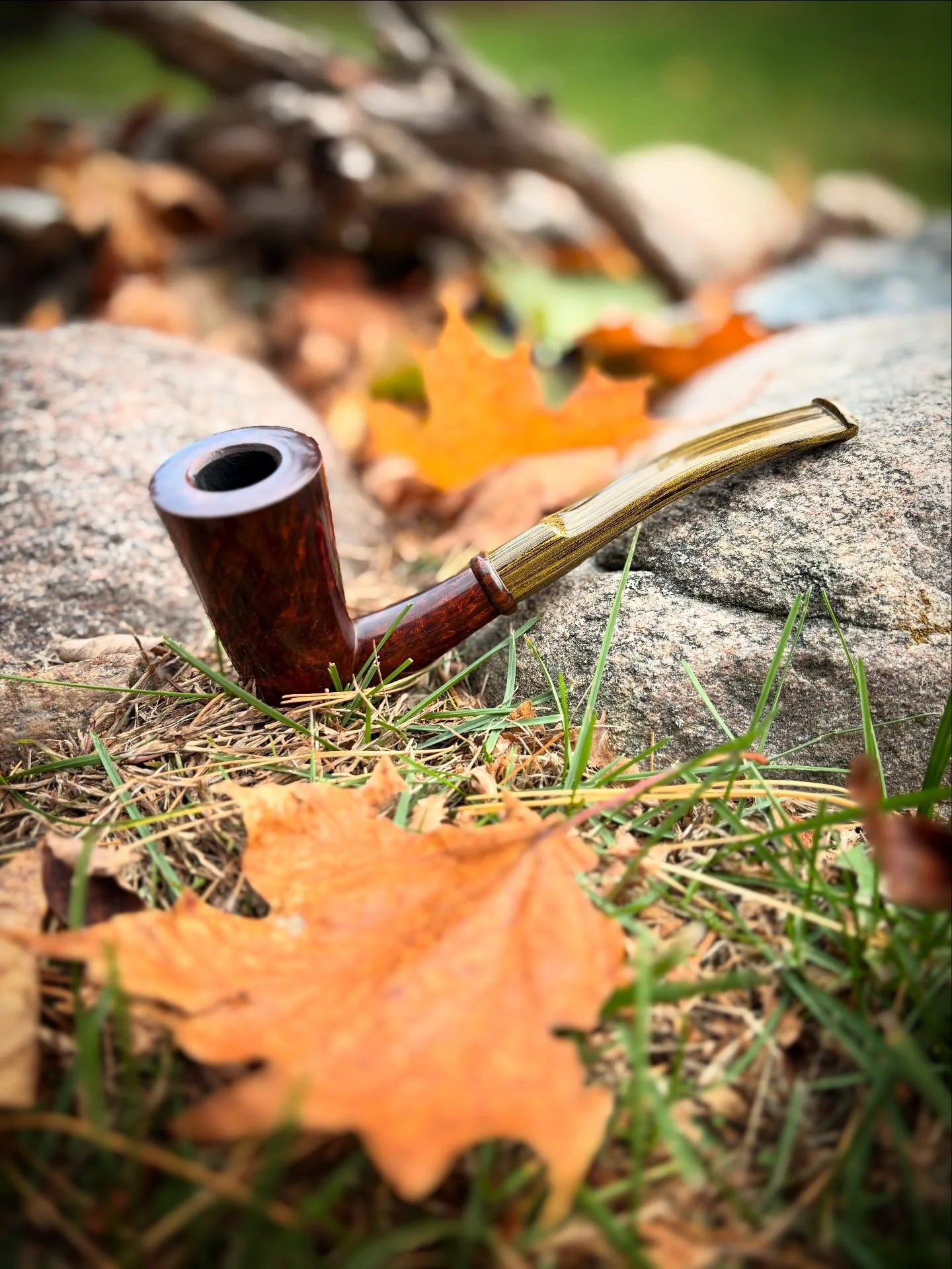 A Dublin Chimney tobacco smoking pipe resting on a large rock outdoors, surrounded by fallen autumn leaves and grass.